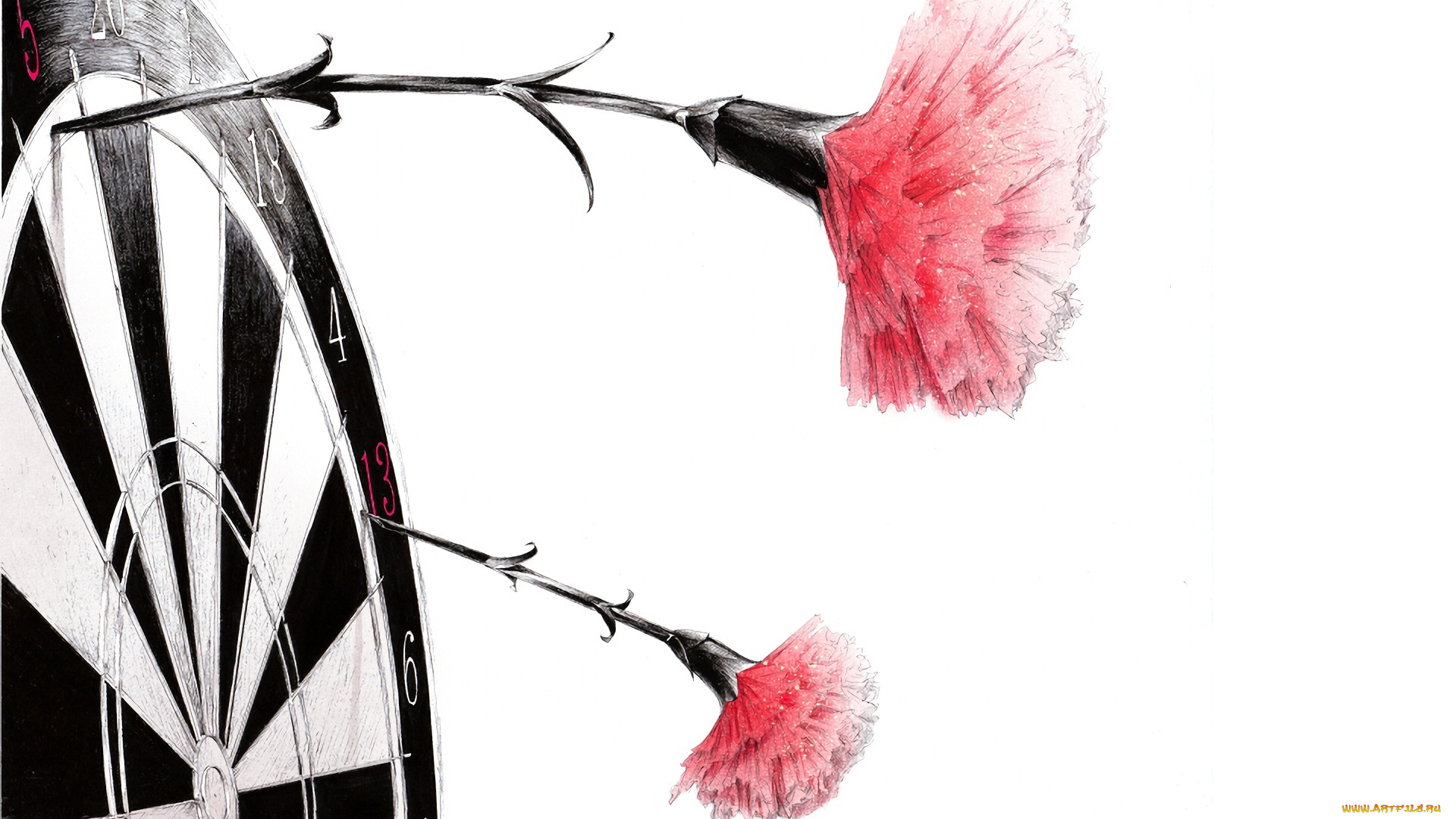 рисованное, цветы, гвоздики, мишень