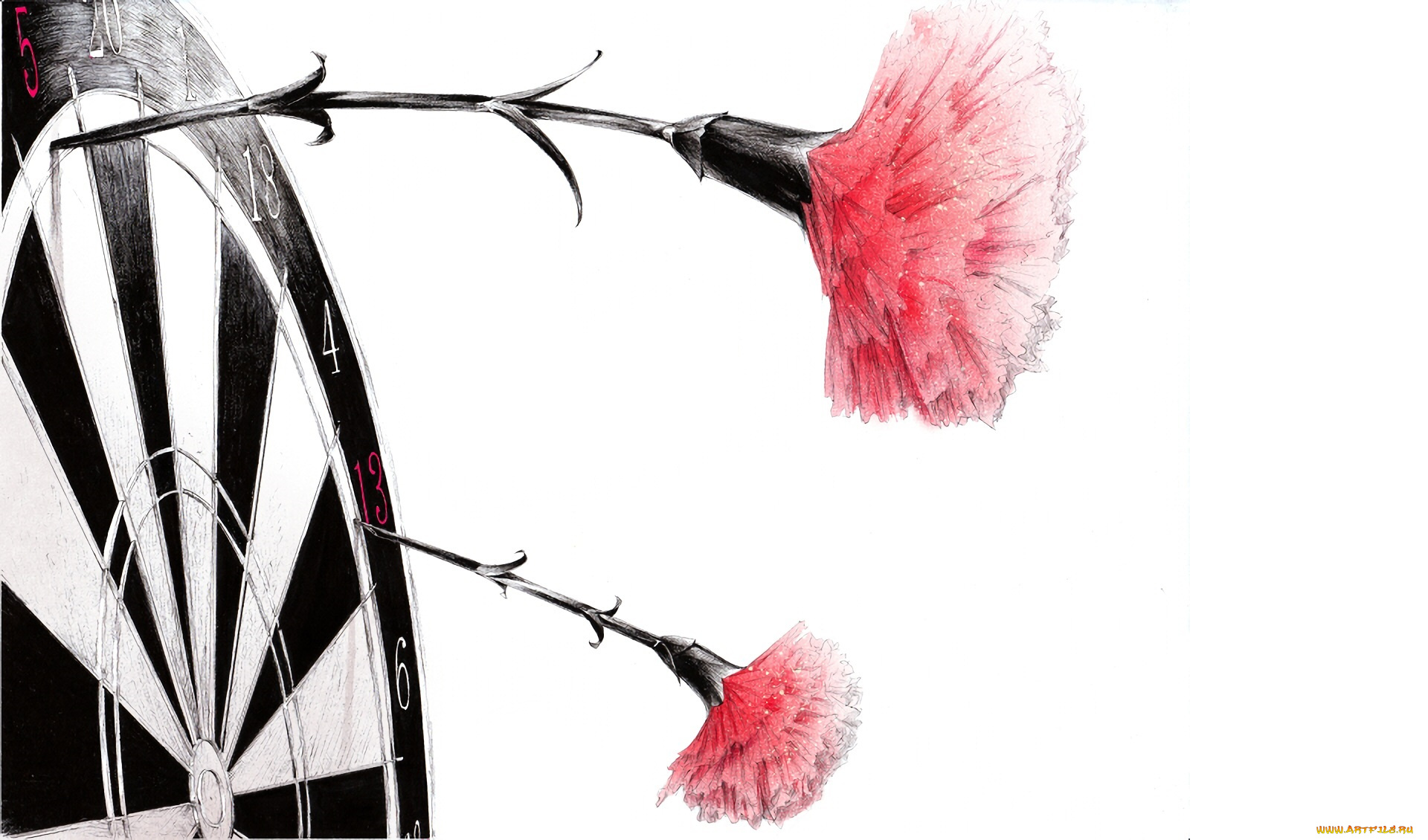 рисованное, цветы, гвоздики, мишень