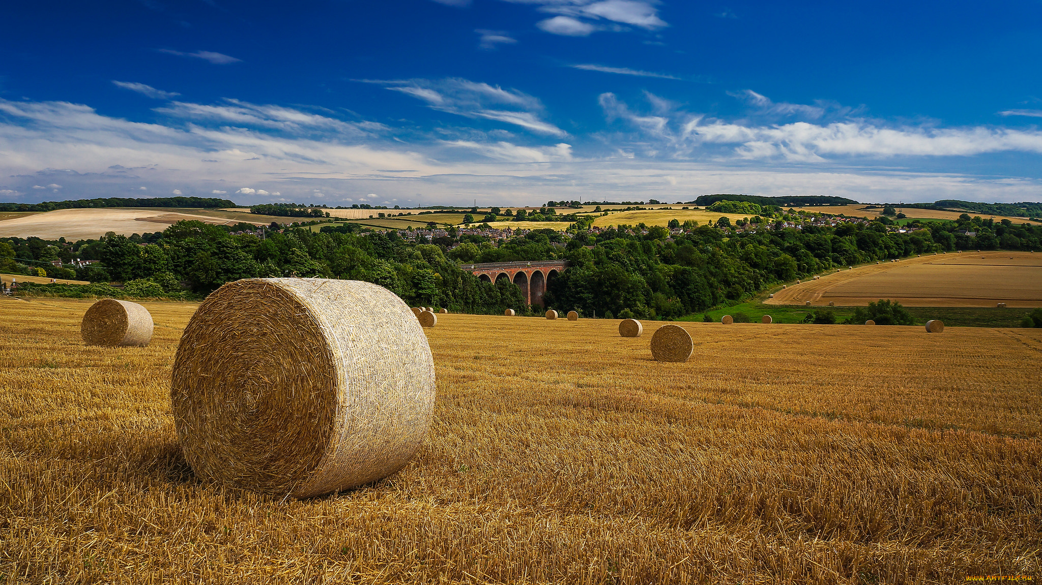 природа, поля, поле, валок