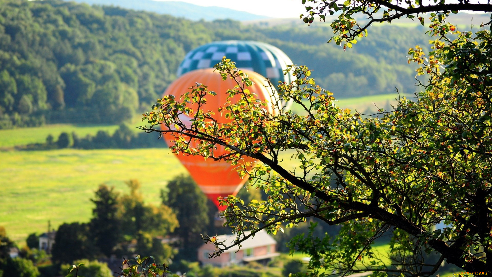 авиация, воздушные, шары, полет