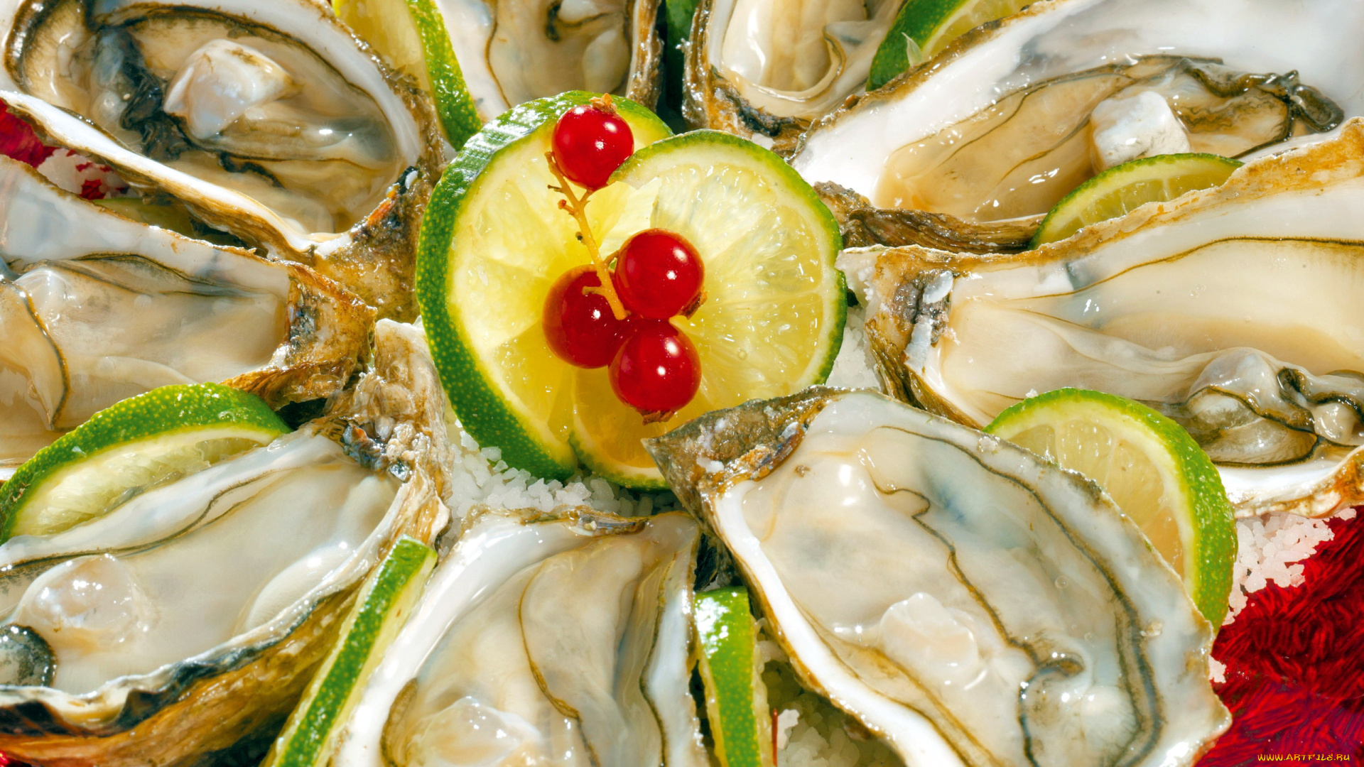 еда, рыбные, блюда, , с, морепродуктами, устрицы