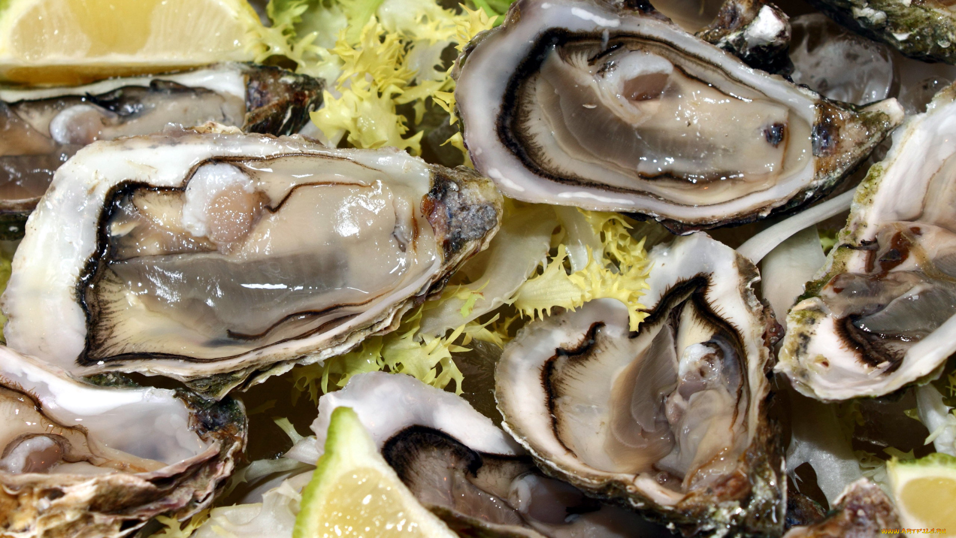 еда, рыбные, блюда, , с, морепродуктами, устрицы