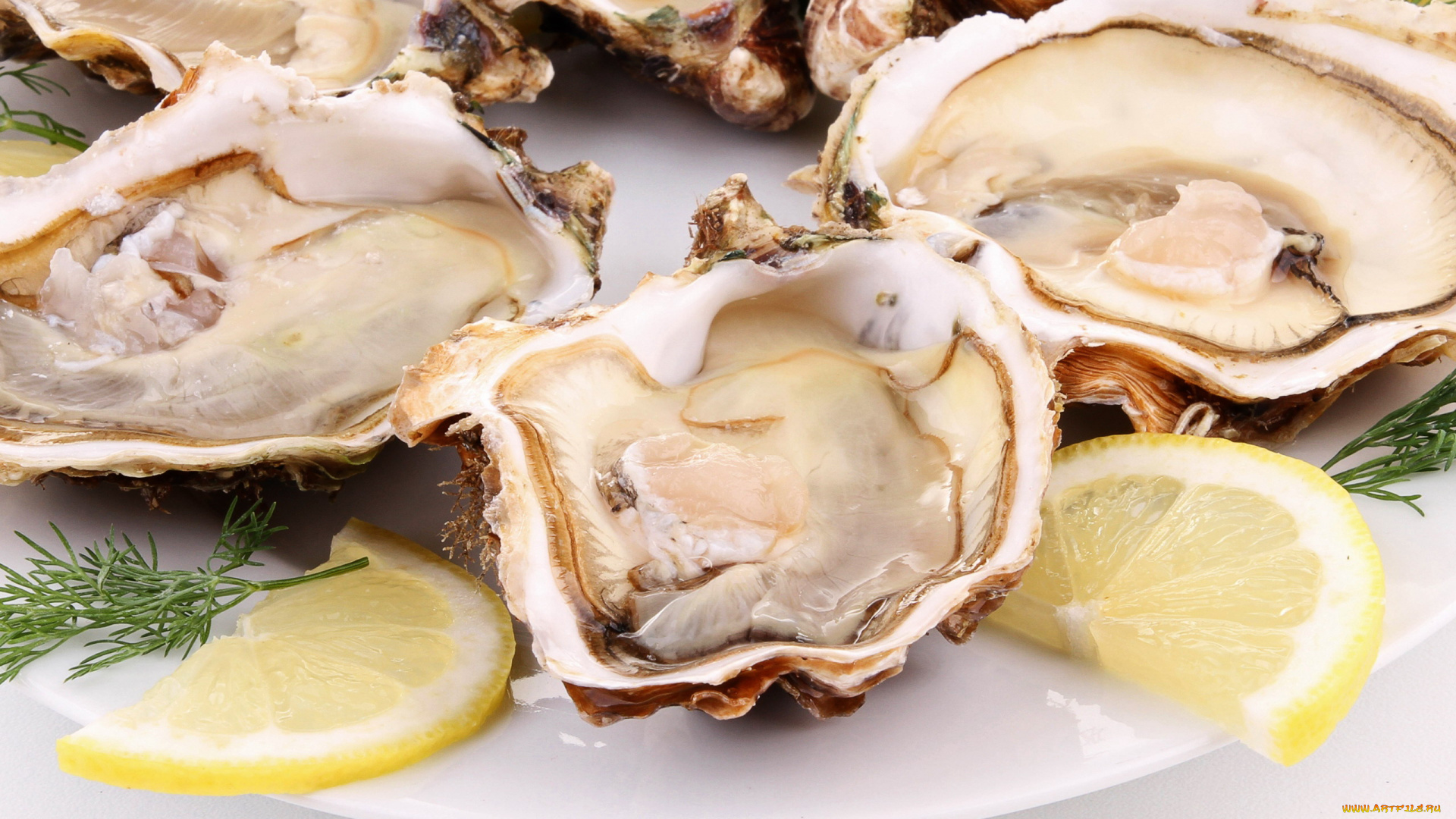 еда, рыбные, блюда, , с, морепродуктами, устрицы
