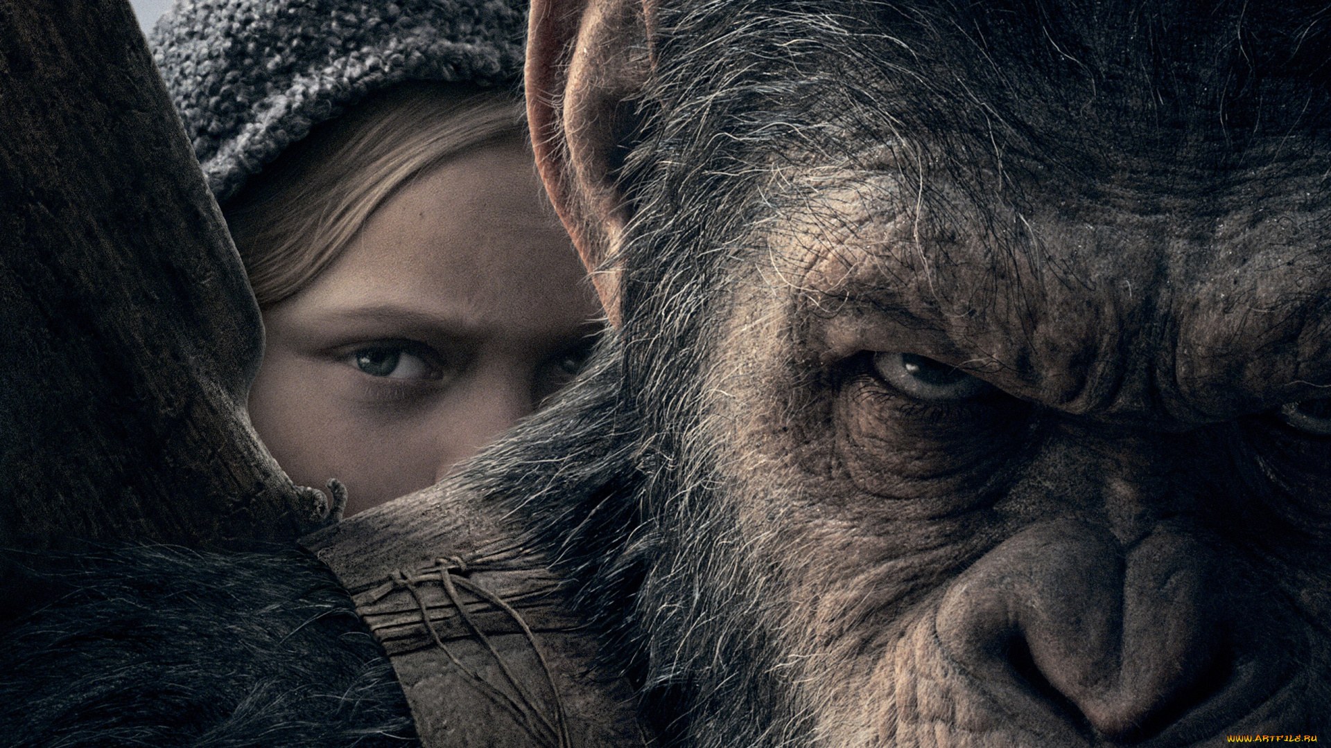 кино, фильмы, war, for, the, planet, of, the, apes, war, for, the, planet, of, apes