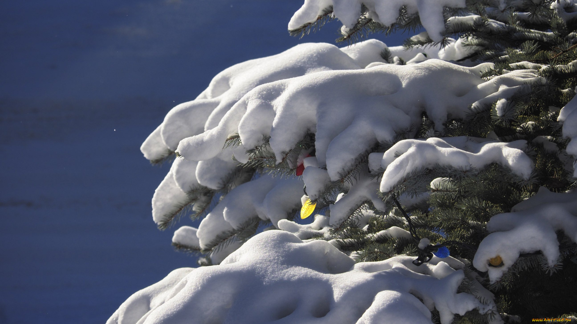 праздничные, -, разное, , новый, год, елка, снег, гирлянды, новый, год
