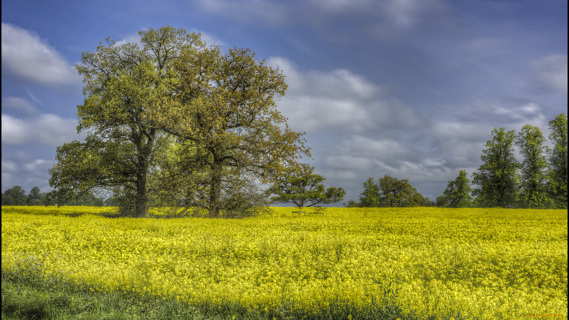 природа, пейзажи, простор