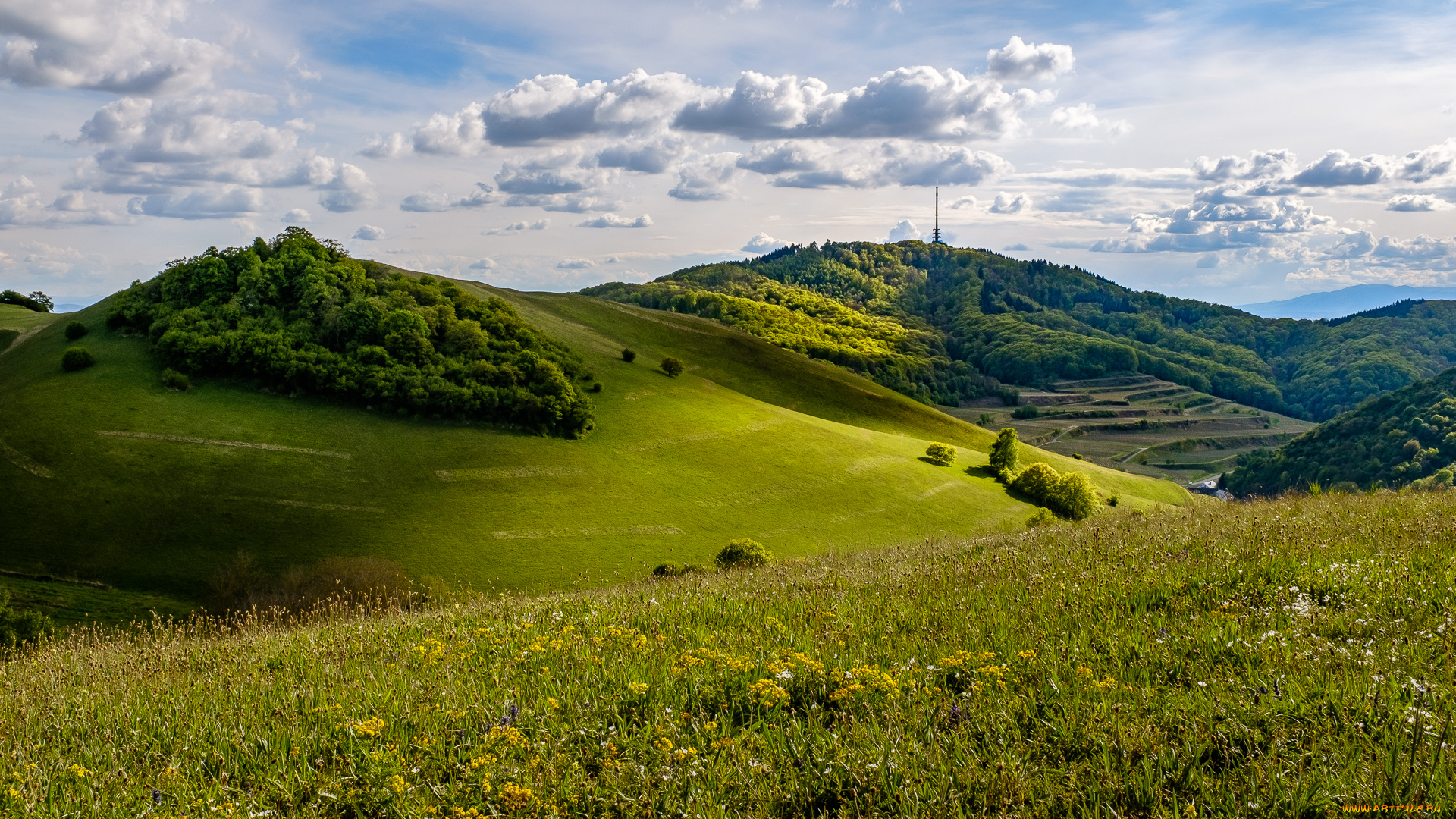 природа, пейзажи, простор