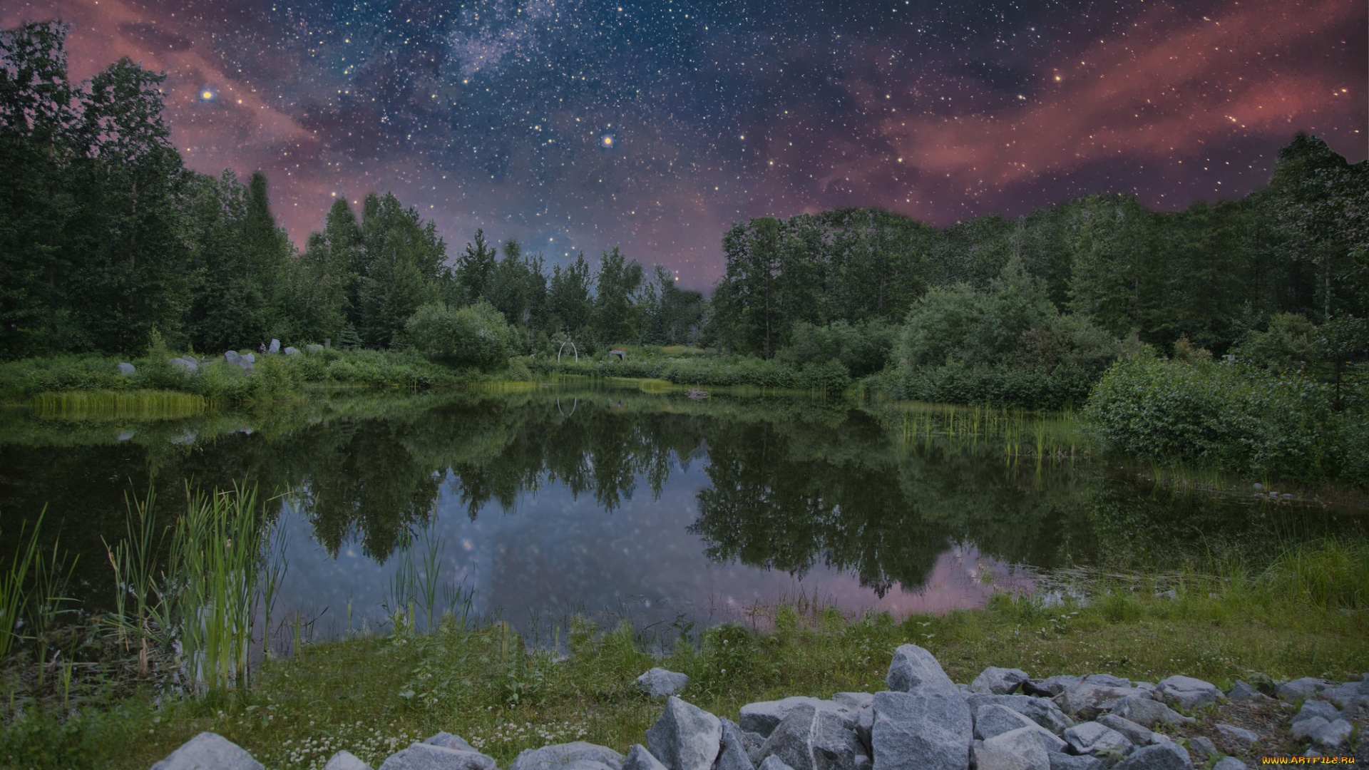 природа, реки, озера, лес, река