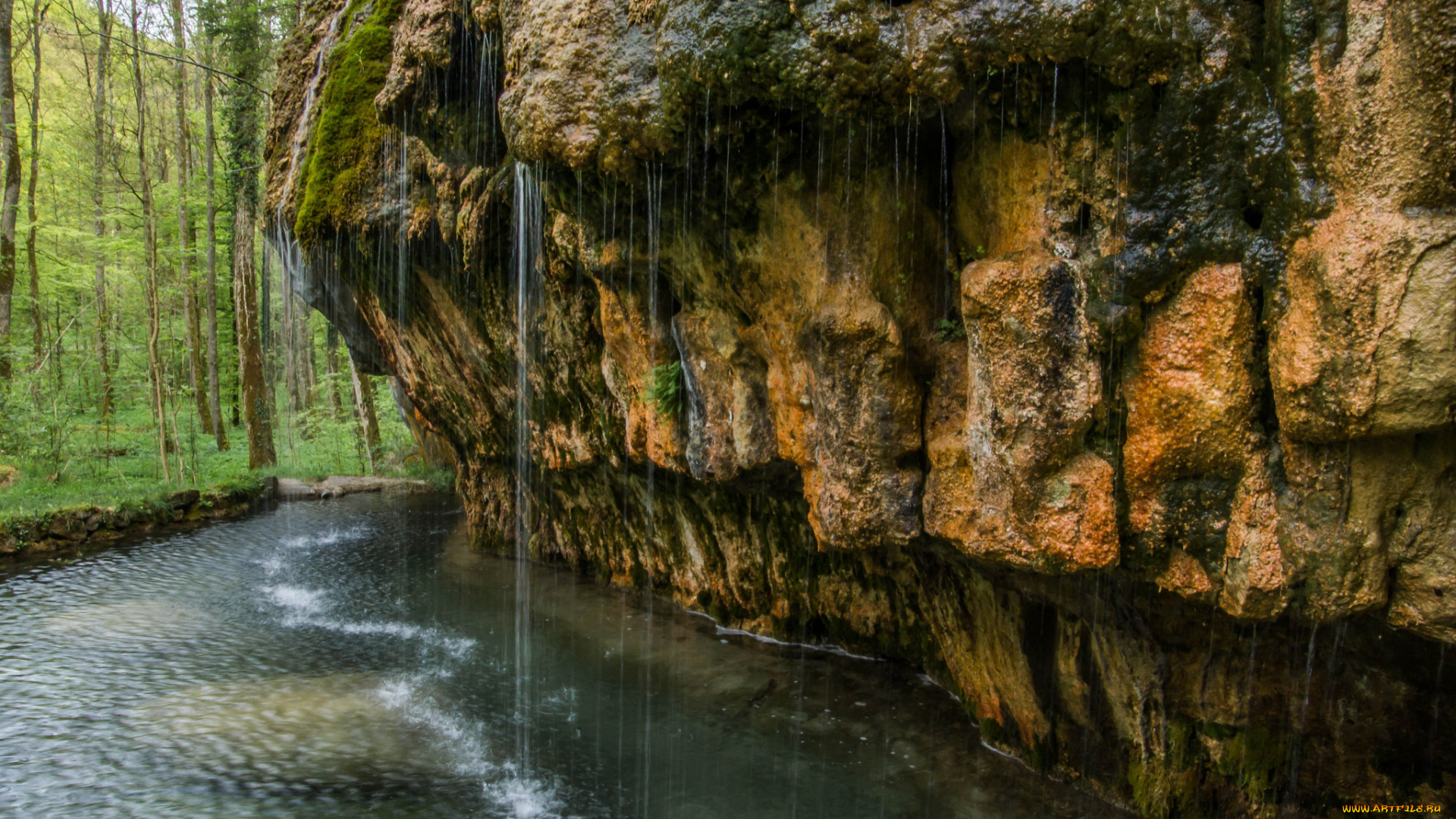 природа, реки, озера, река, лес