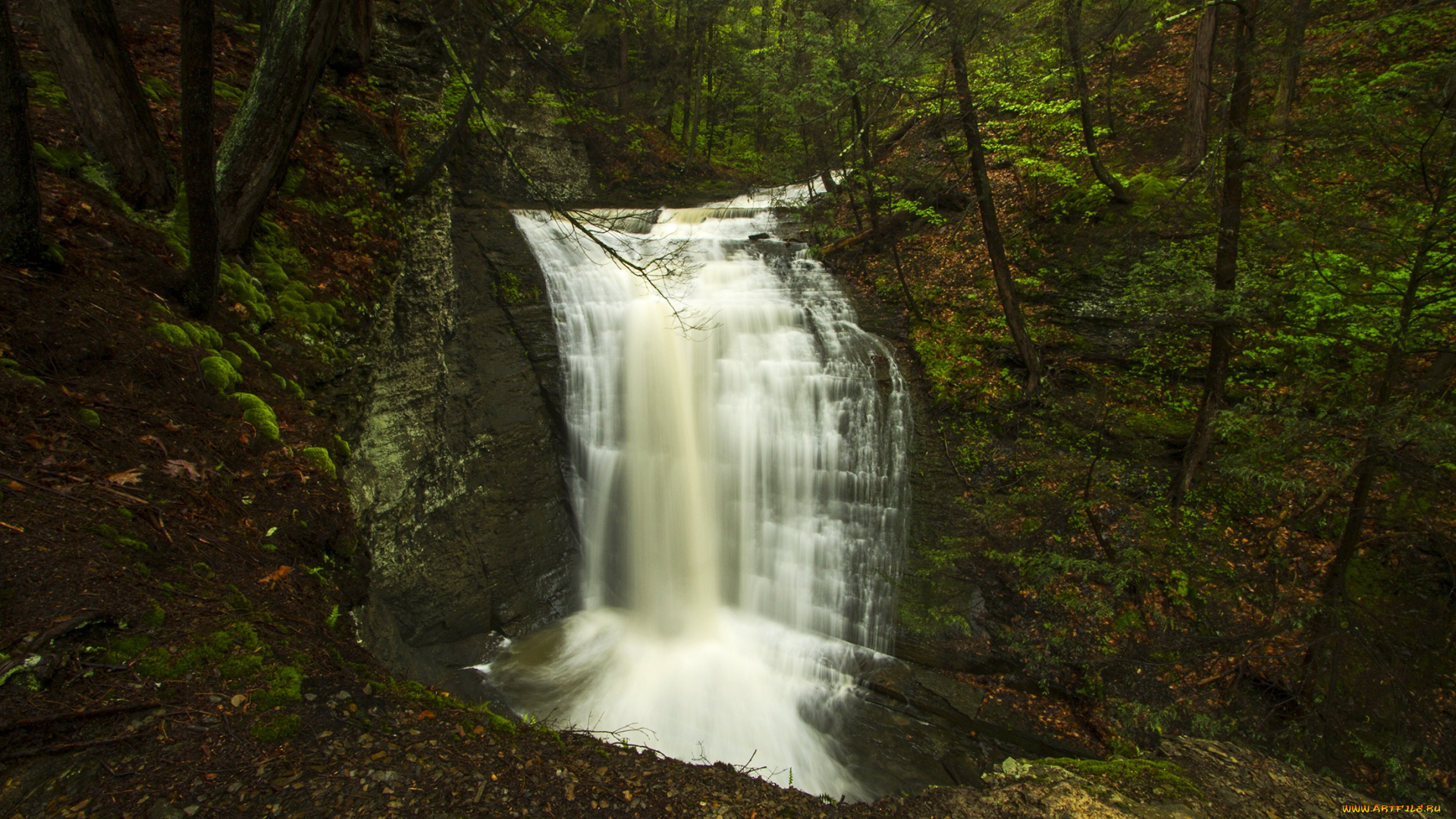 природа, водопады, река, деревья, лес