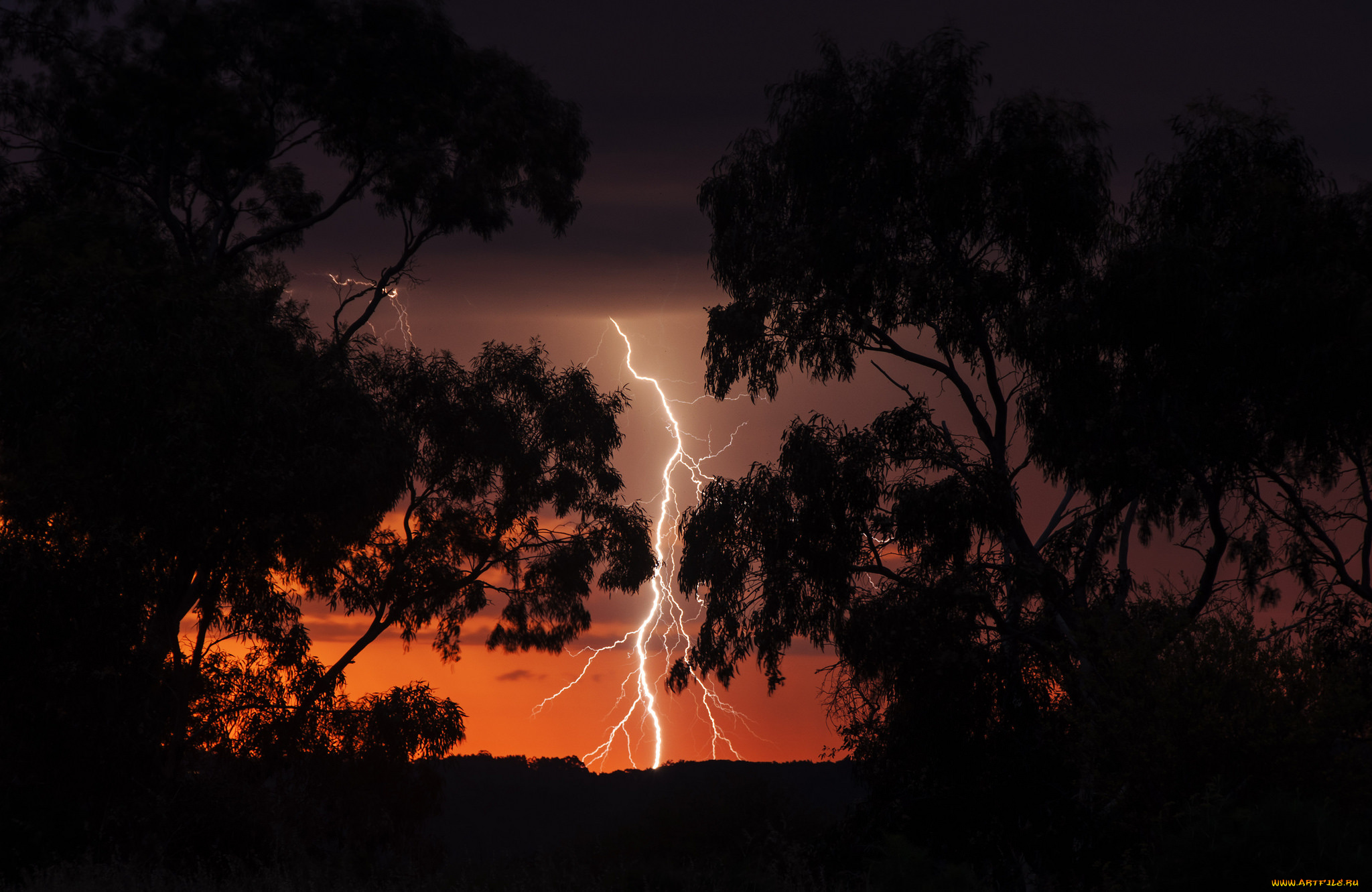 природа, молния, , гроза, ненастье