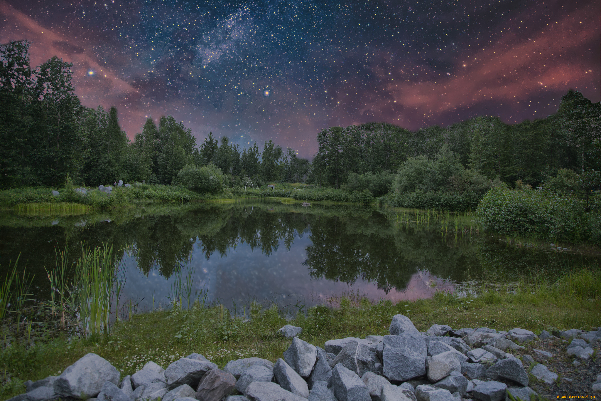 природа, реки, озера, лес, река