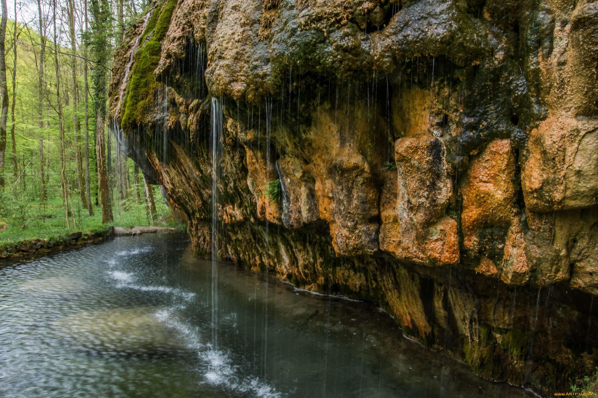 природа, реки, озера, река, лес