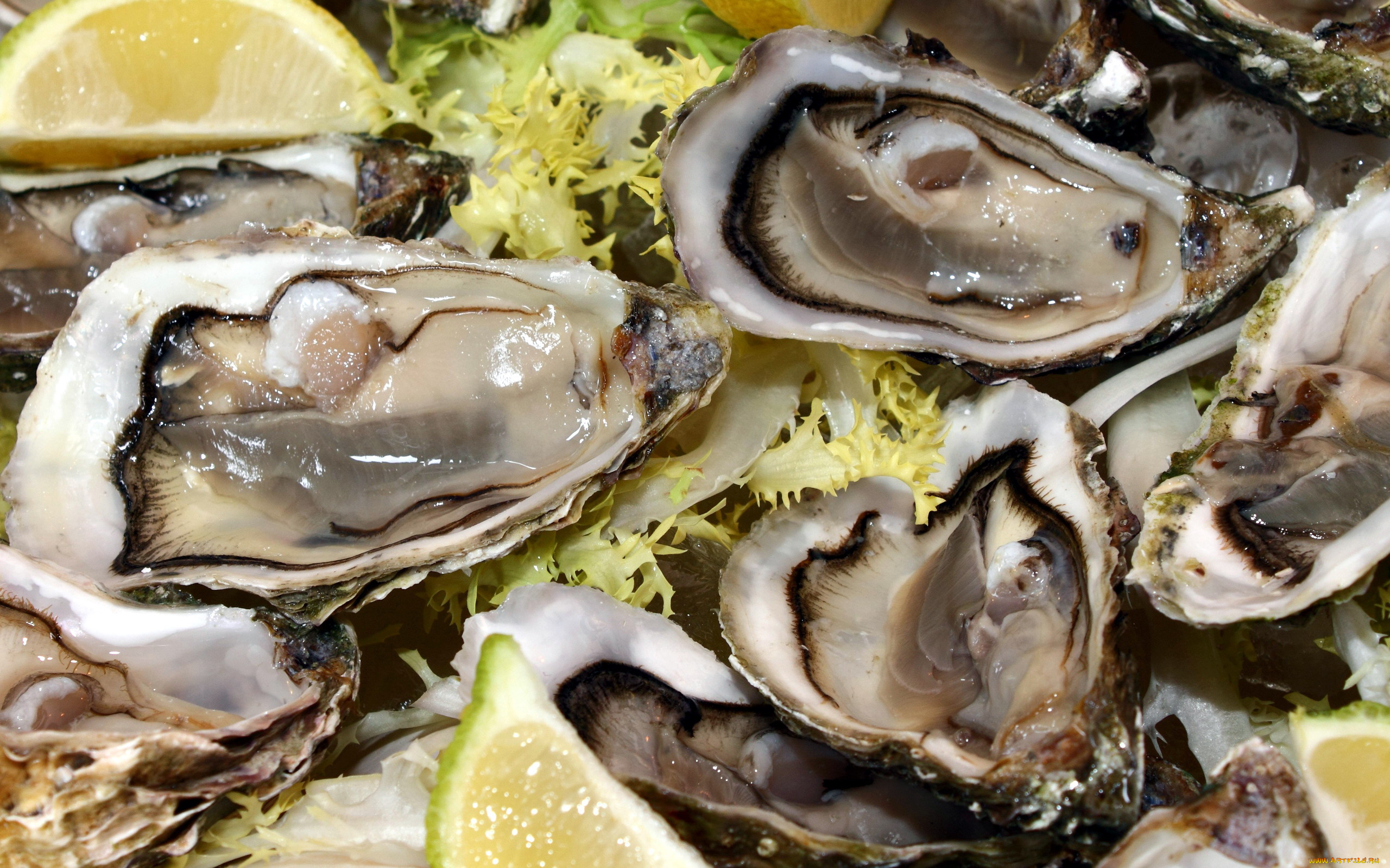 еда, рыбные, блюда, , с, морепродуктами, устрицы