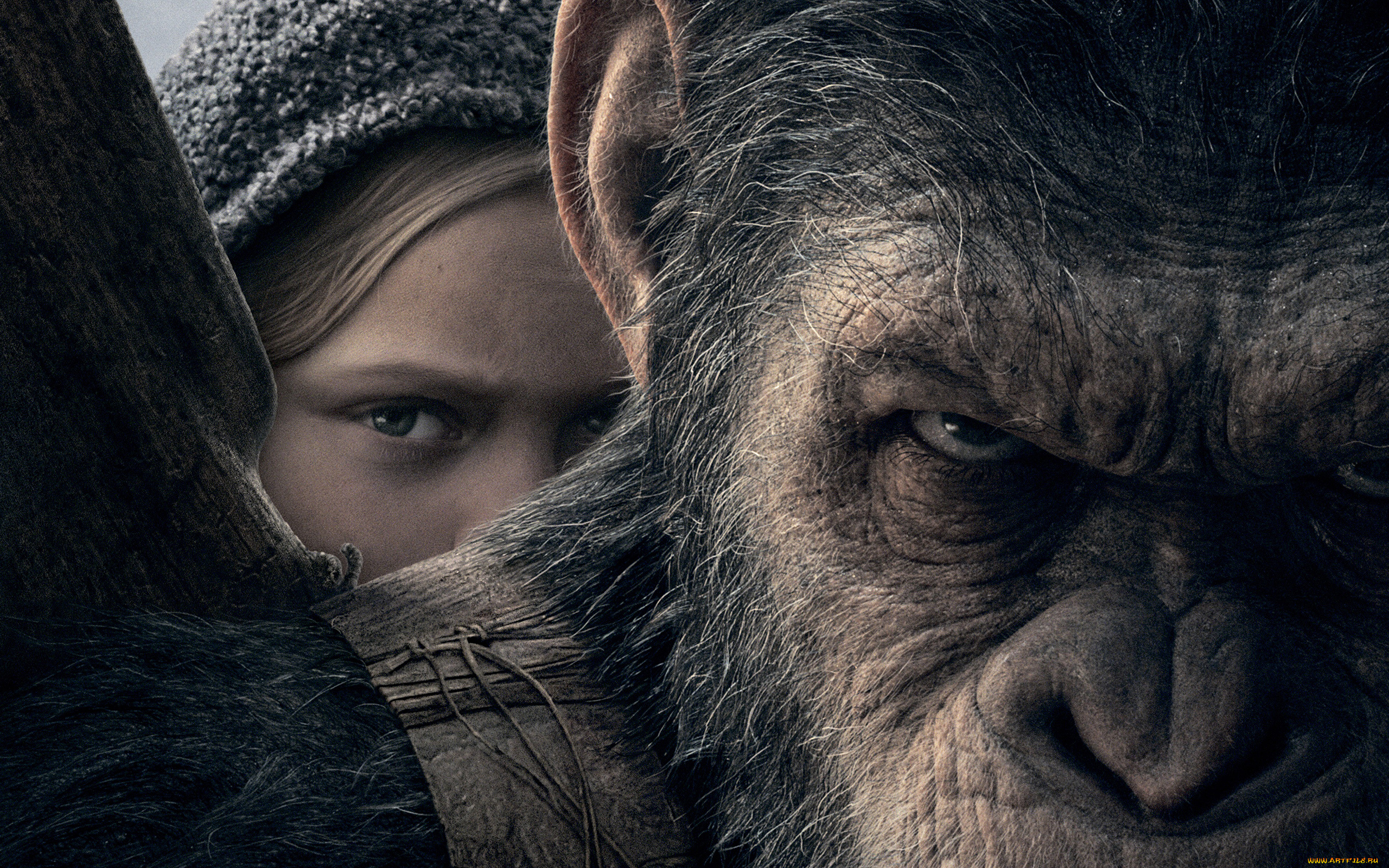 кино, фильмы, war, for, the, planet, of, the, apes, war, for, the, planet, of, apes
