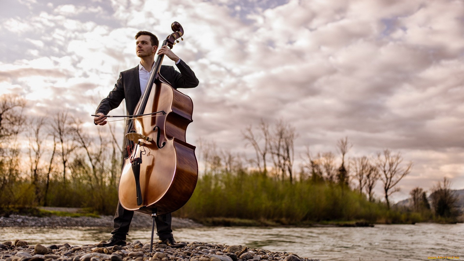 музыка, -другое, контрабас, мужчина