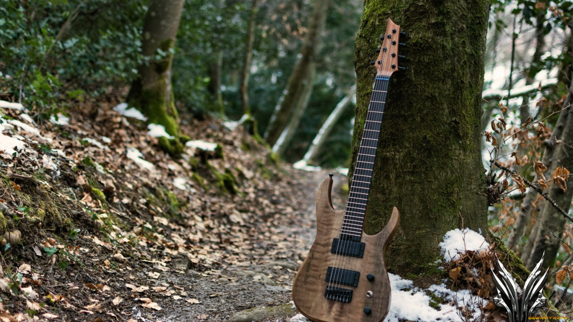 музыка, -музыкальные, инструменты, гитара