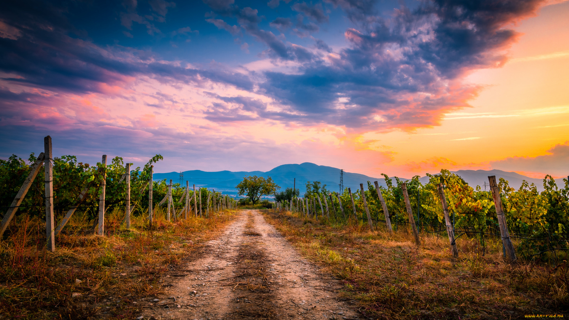 природа, дороги, простор