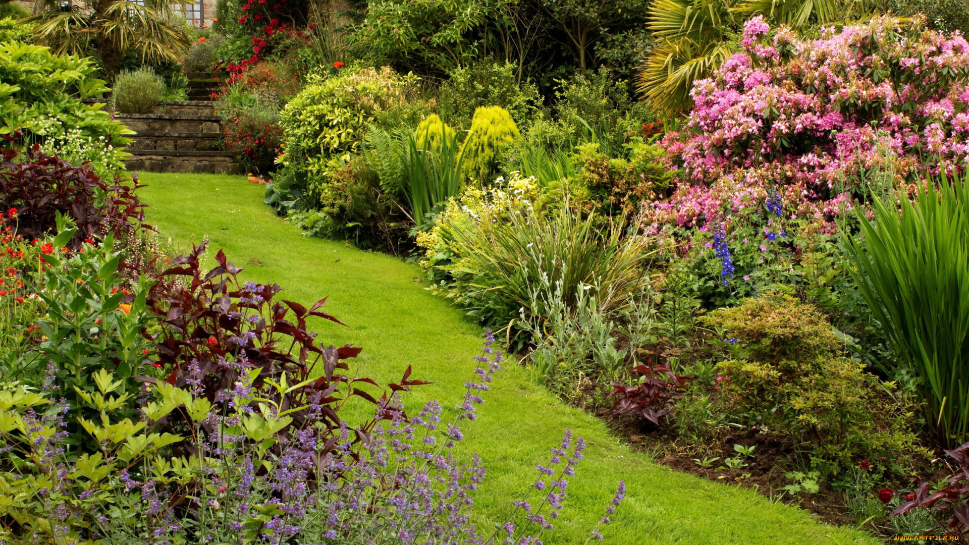 природа, парк, кусты, лужайка