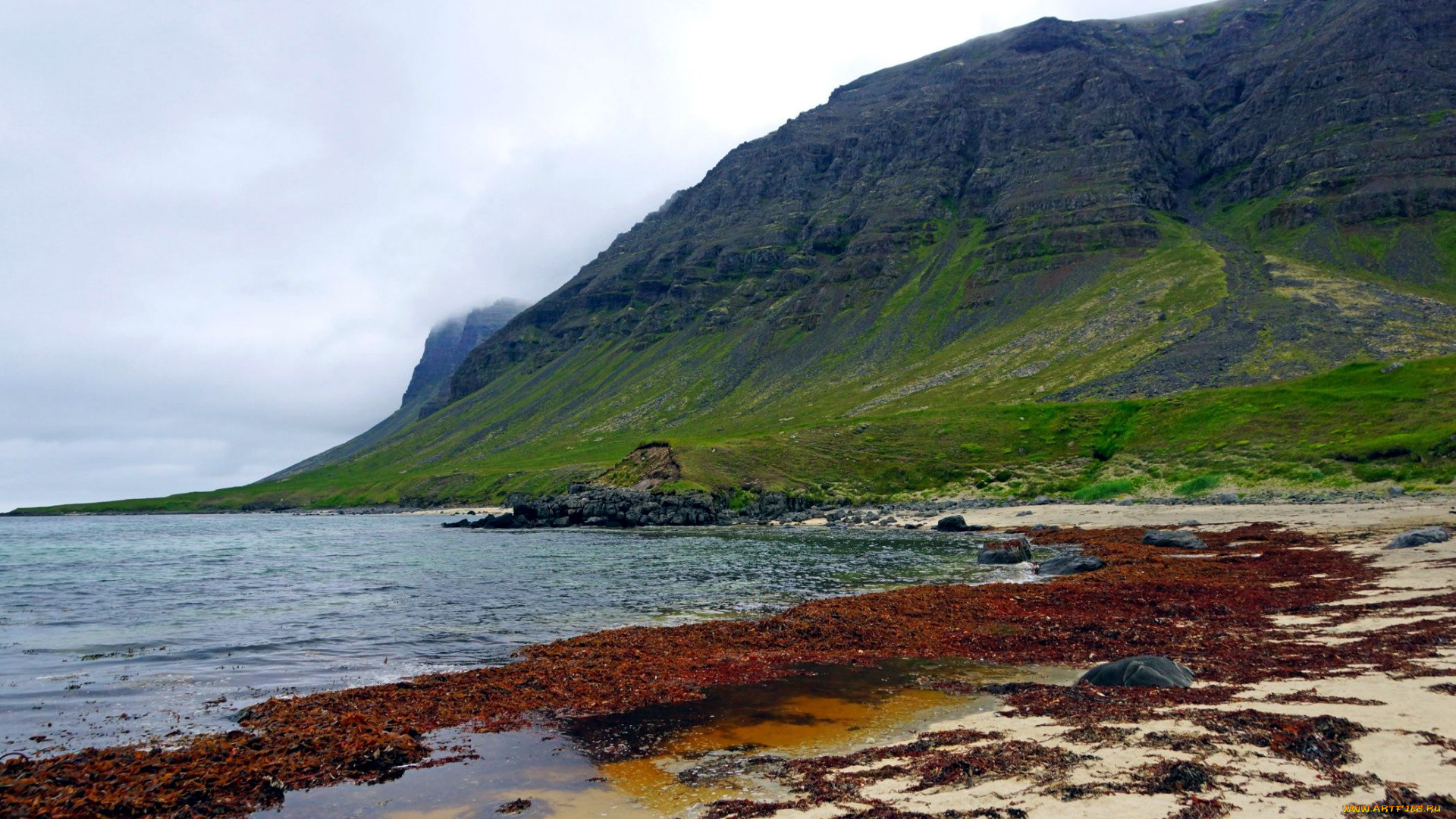 природа, побережье, отмель