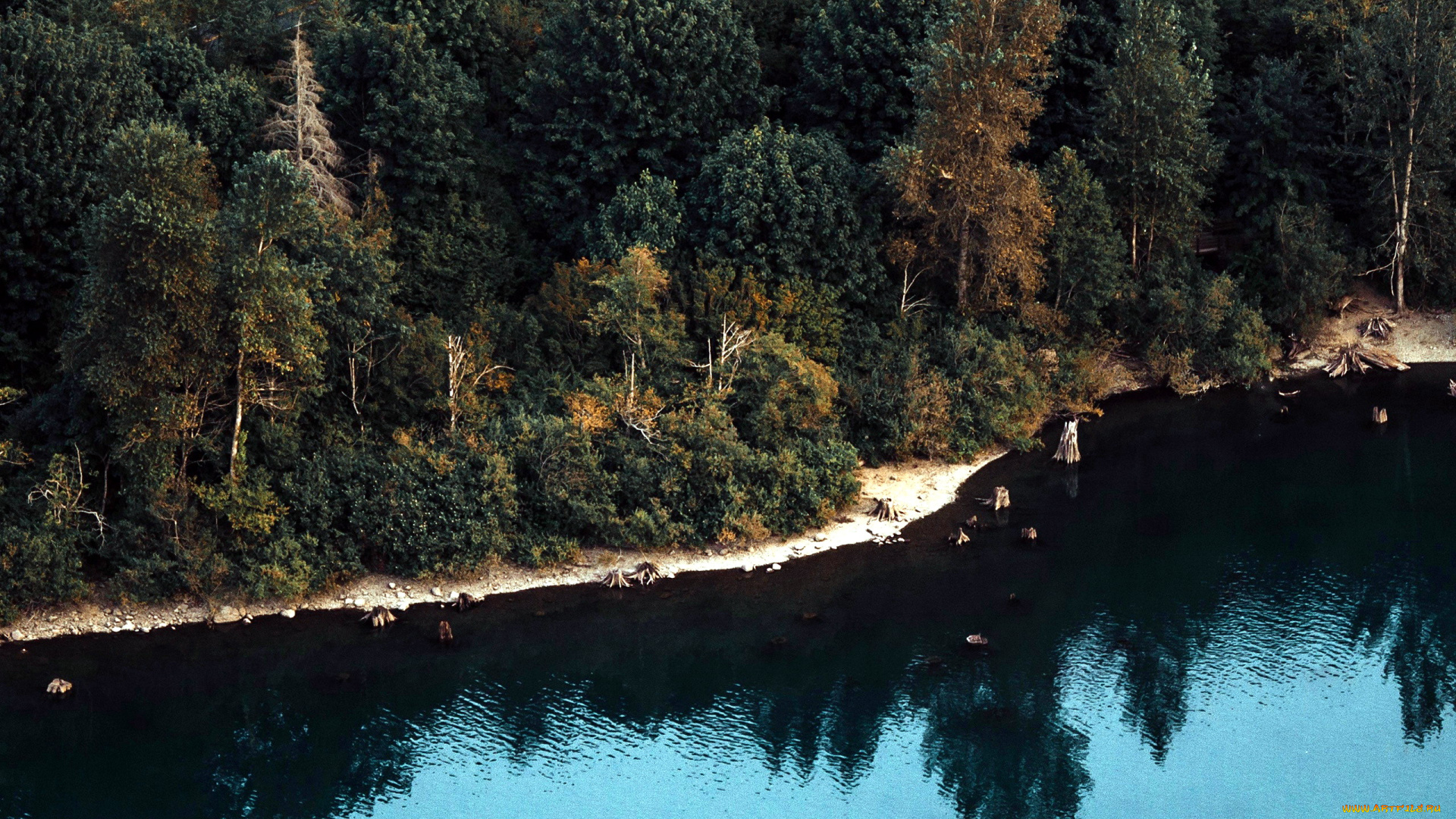 природа, реки, озера, река, лес, отражение