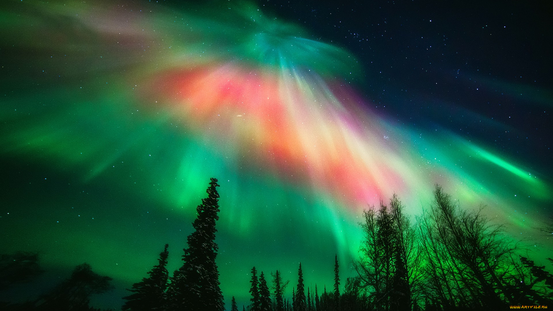 природа, северное, сияние, простор
