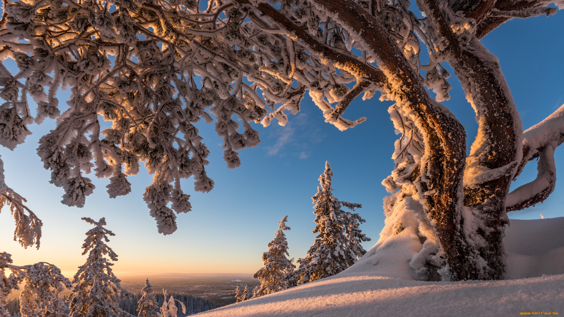 природа, зима, простор