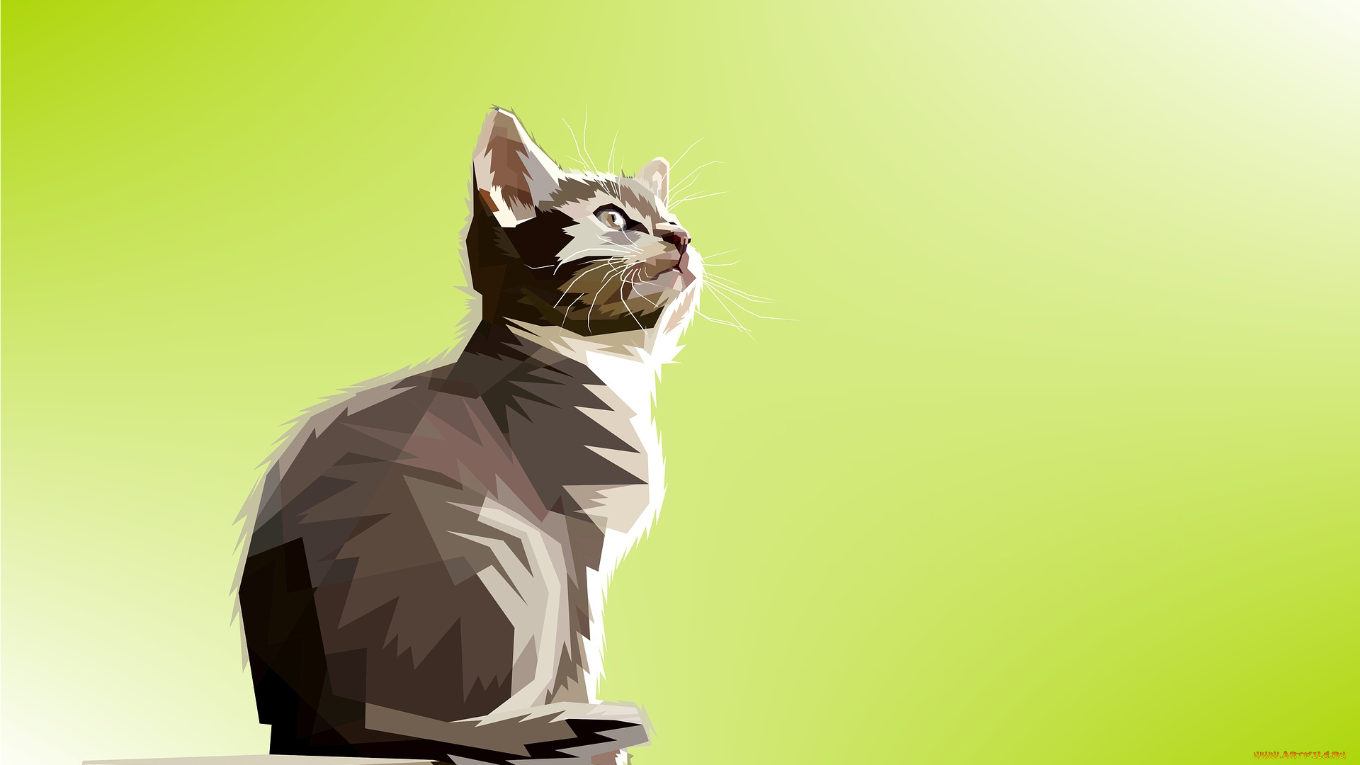 векторная, графика, животные, , animals, кот