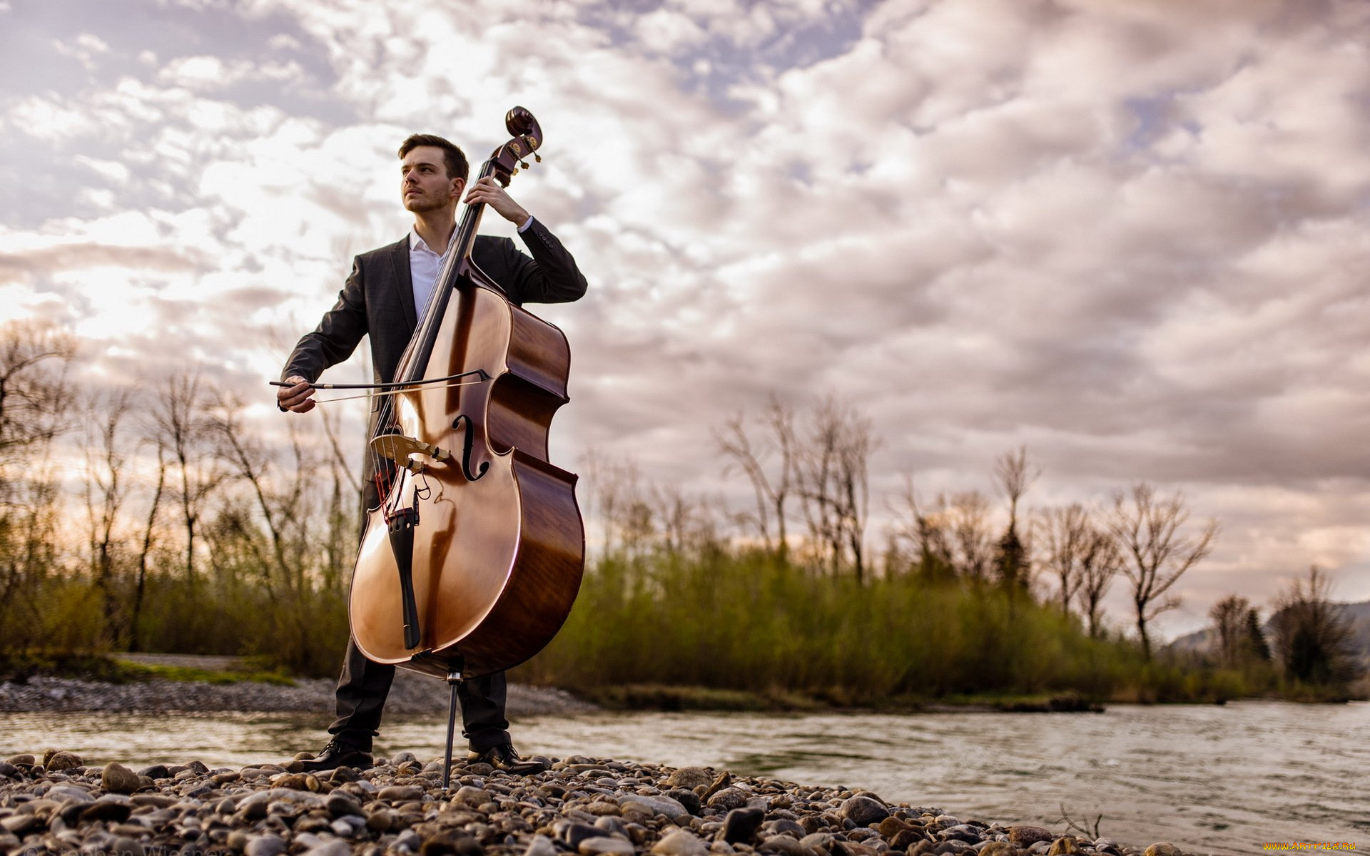 музыка, -другое, контрабас, мужчина