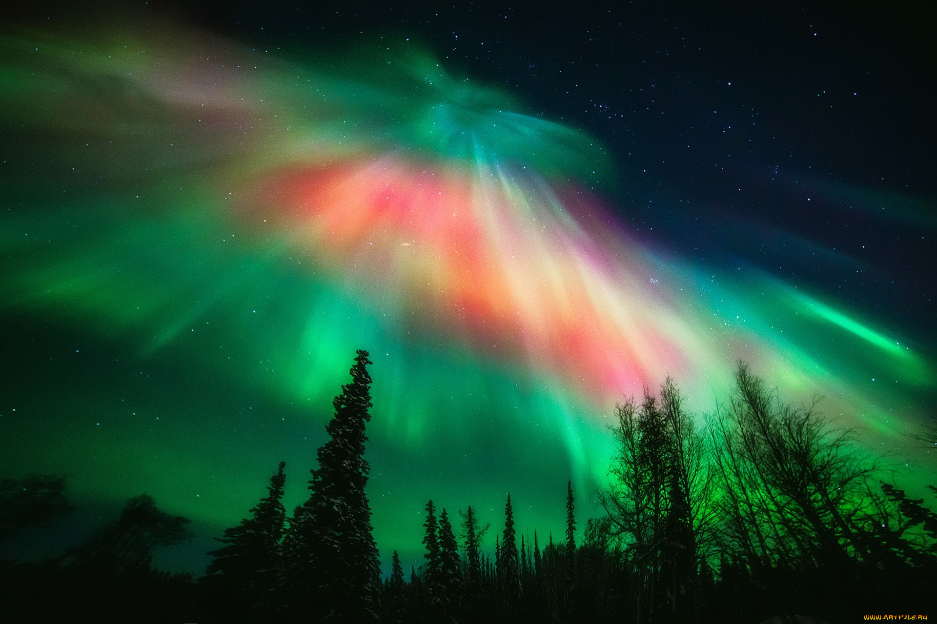 природа, северное, сияние, простор
