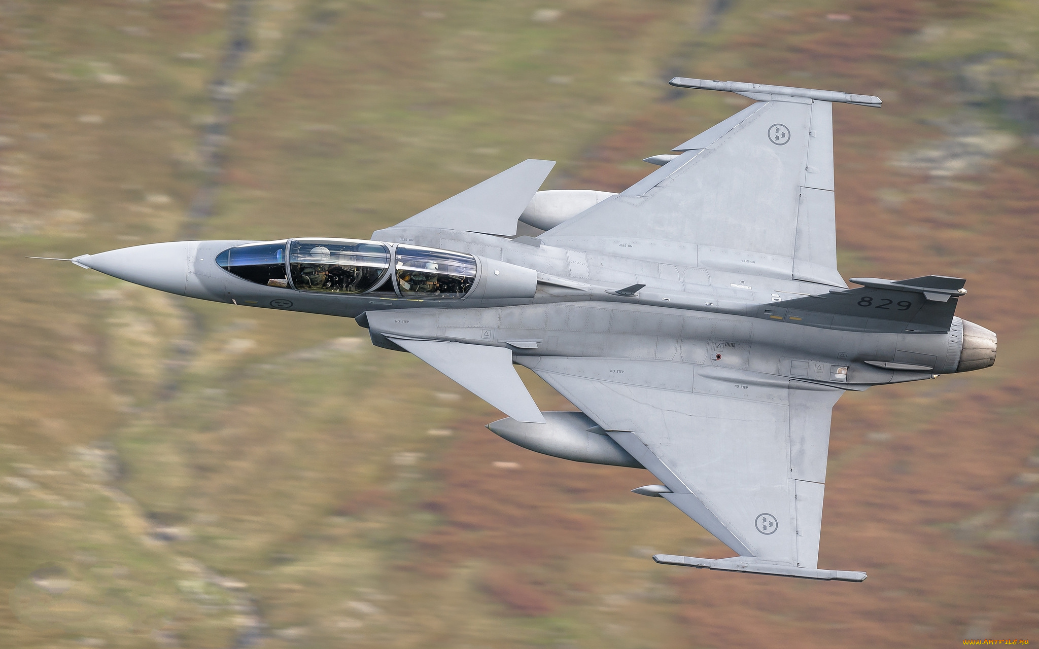 saab, jas-39d, gripen, авиация, боевые, самолёты, ввс