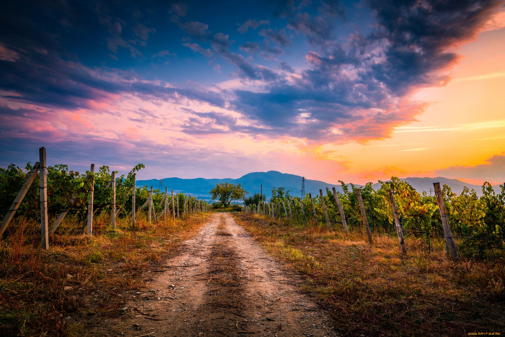 природа, дороги, простор