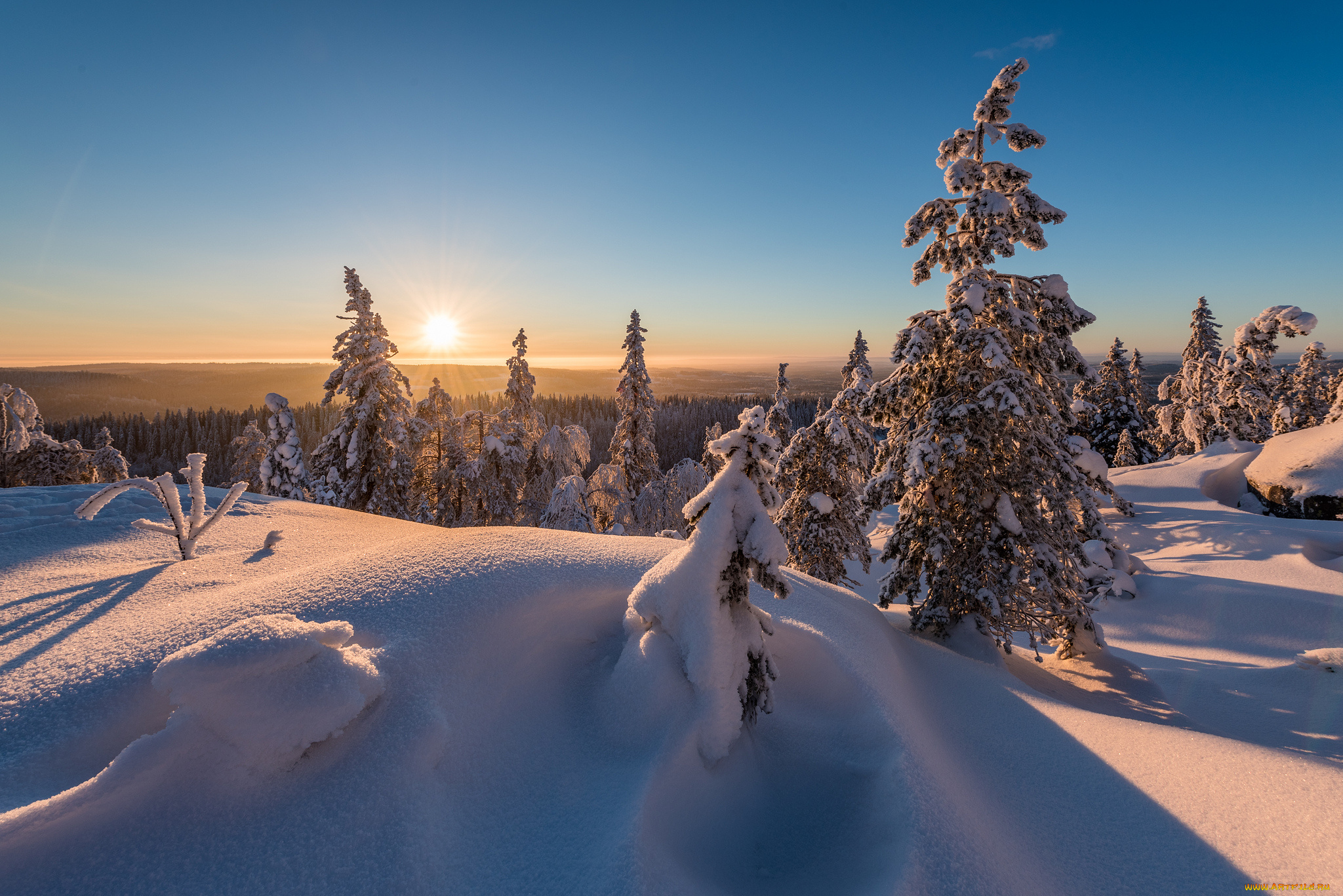 природа, зима, простор