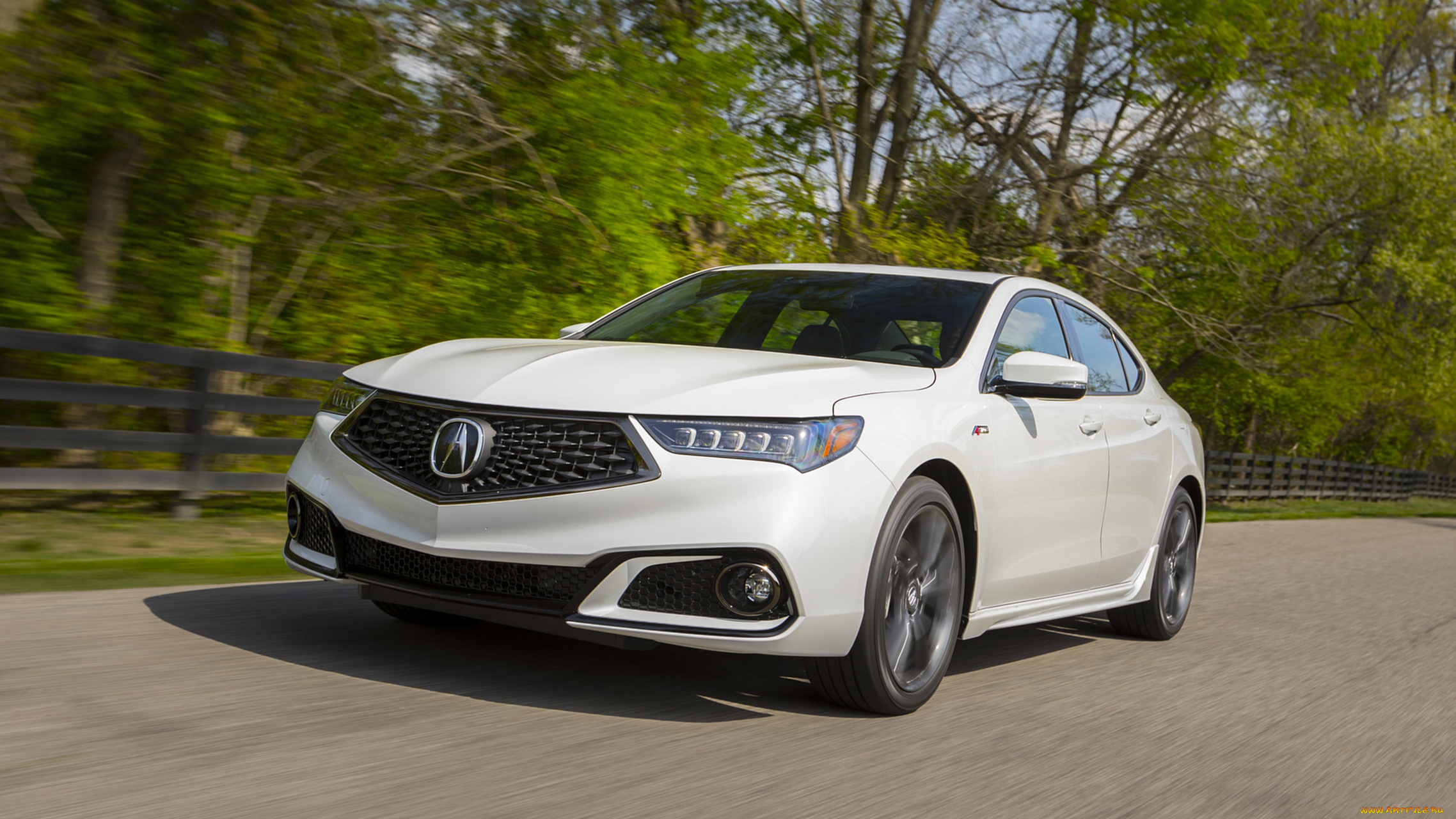 acura, tlx, a-spec, sh-awd, 2019, автомобили, acura, a-spec, tlx, sh-awd, 2019, белый
