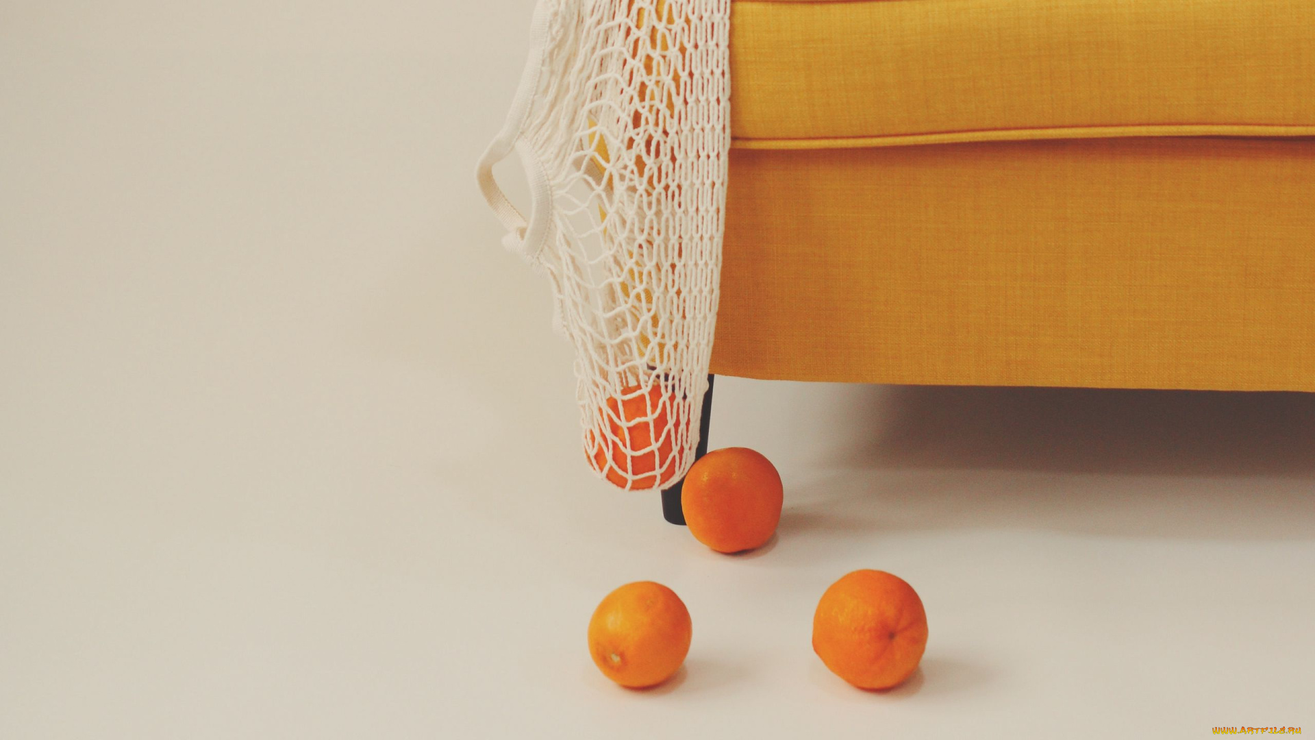 еда, цитрусы, апельсины