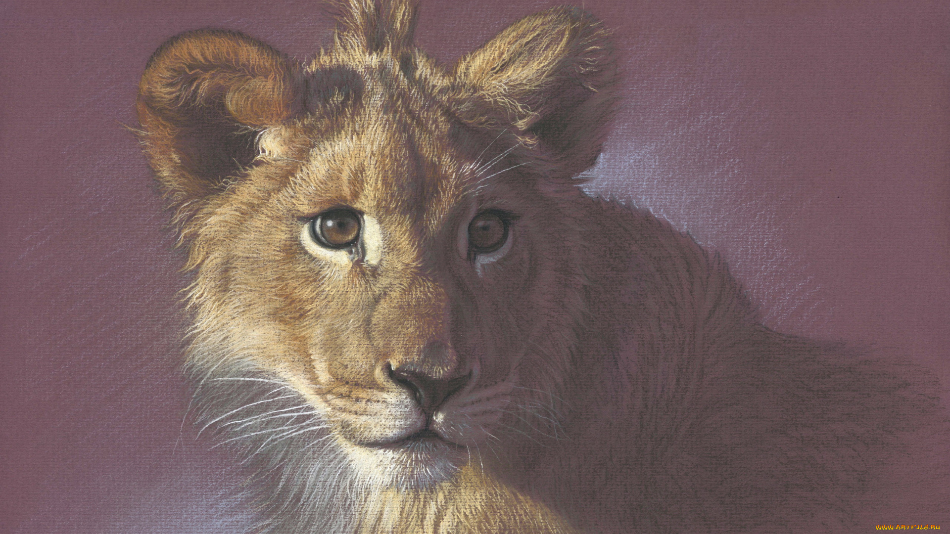 рисованное, животные, , львы, львенок, фон, взгляд