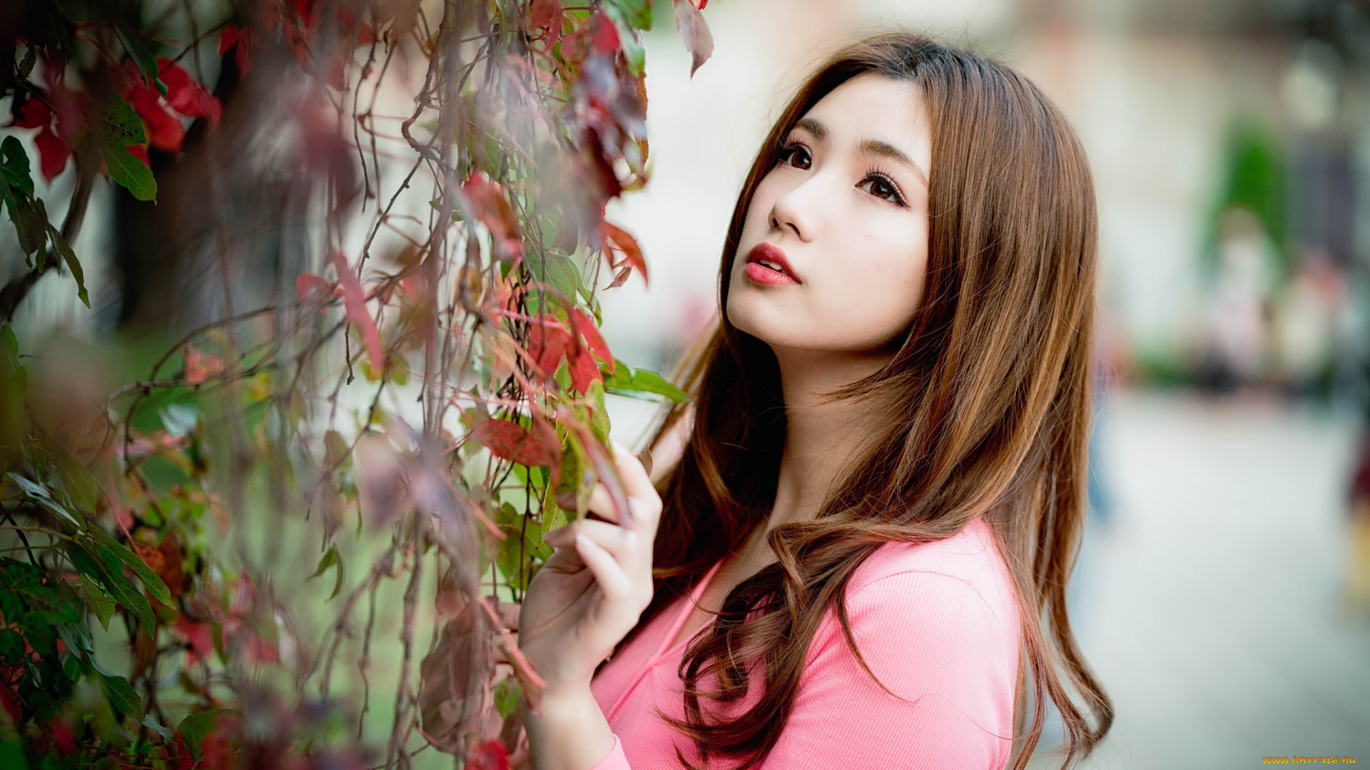 девушки, -, азиатки, шатенка, листья