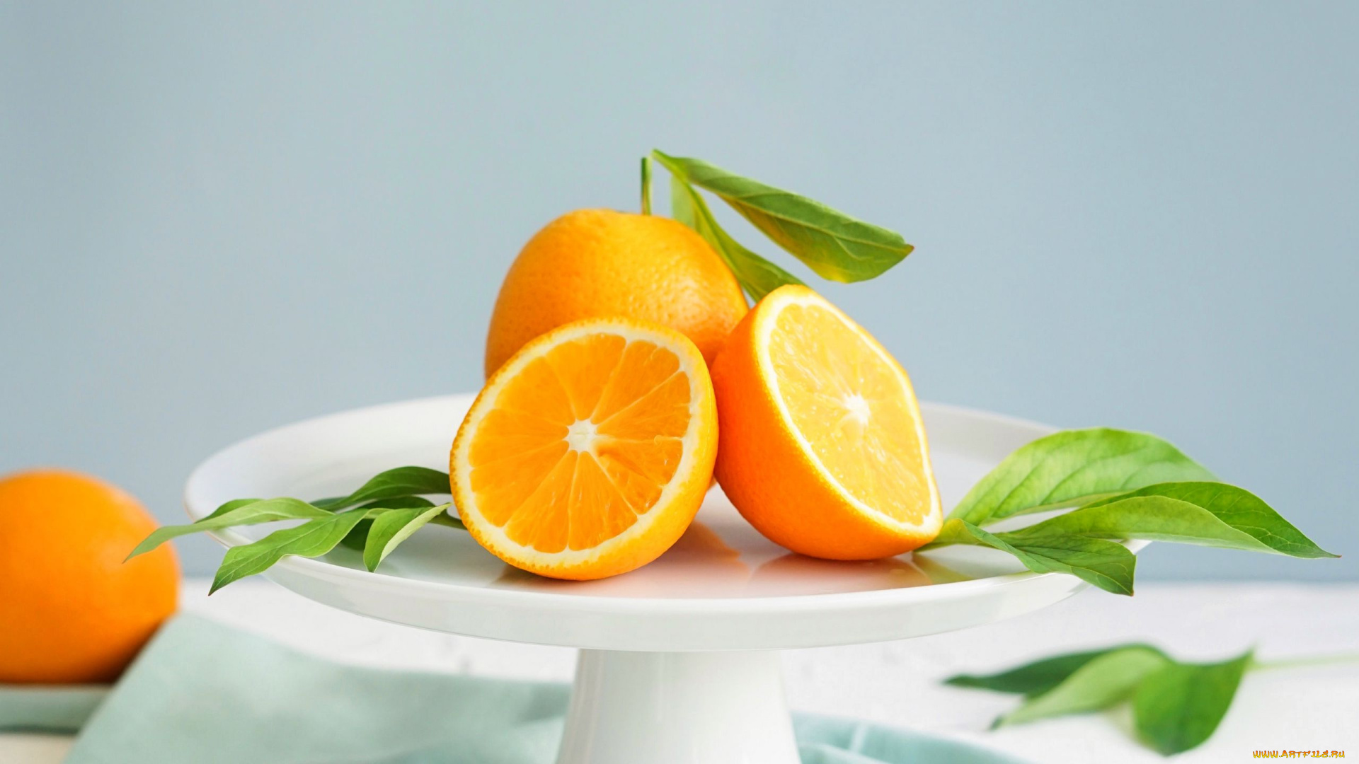 еда, цитрусы, апельсины