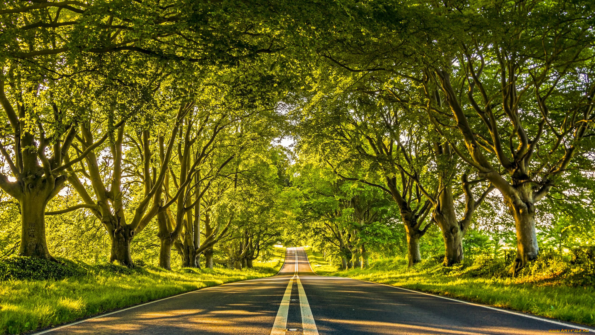 природа, дороги, шоссе