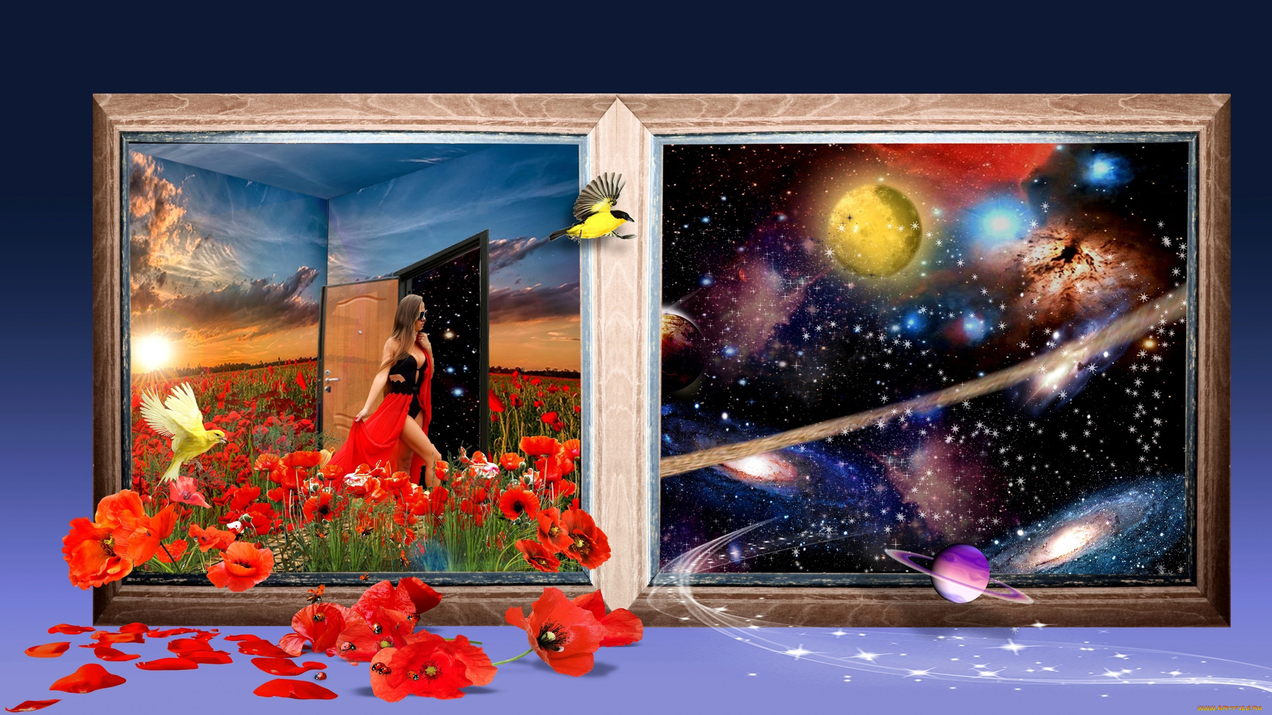 разное, компьютерный, дизайн, дарья, голомонзина