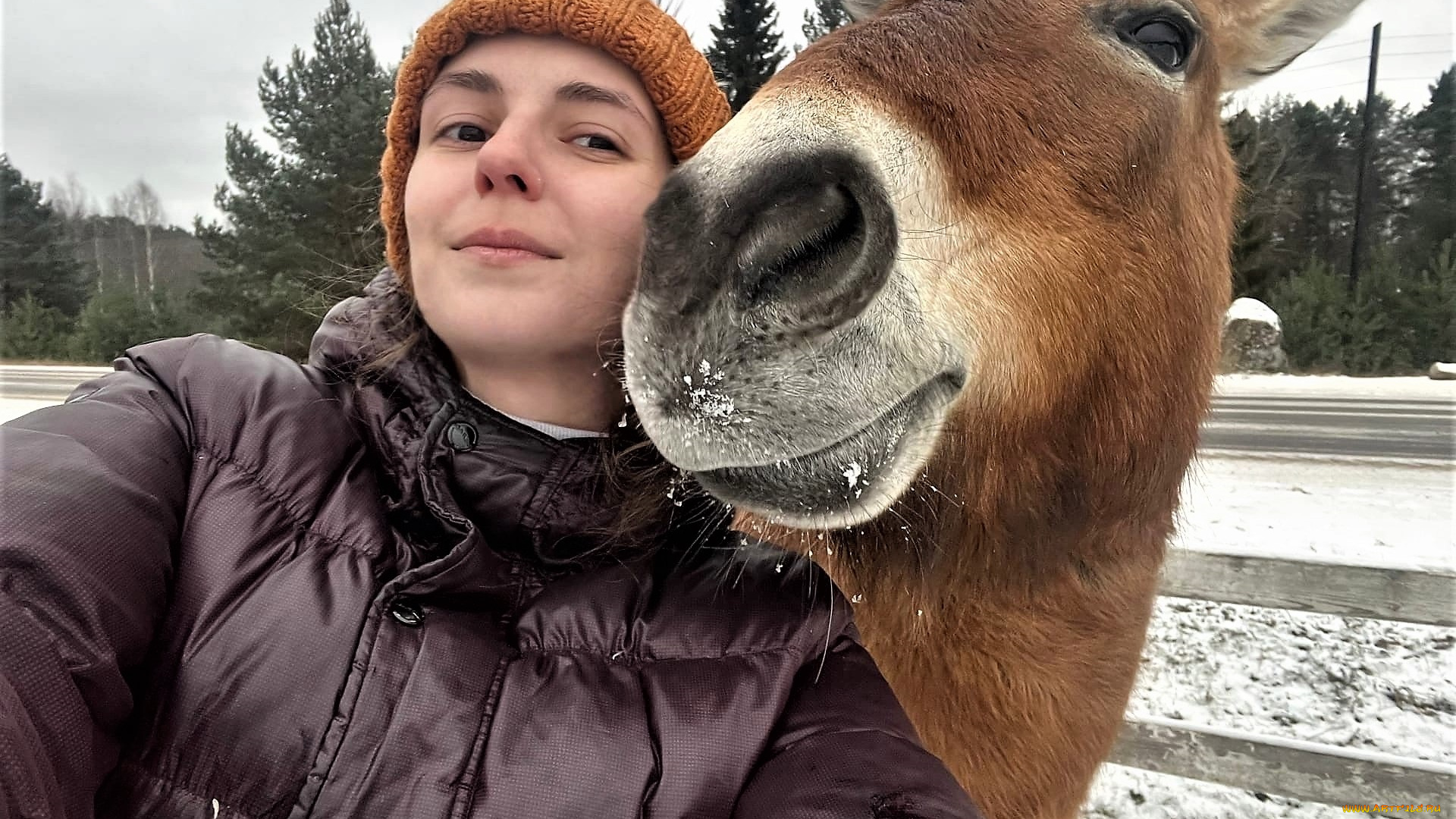 девушки, наталья, фильченкова, , , alisa, шапка, куртка, лошадь