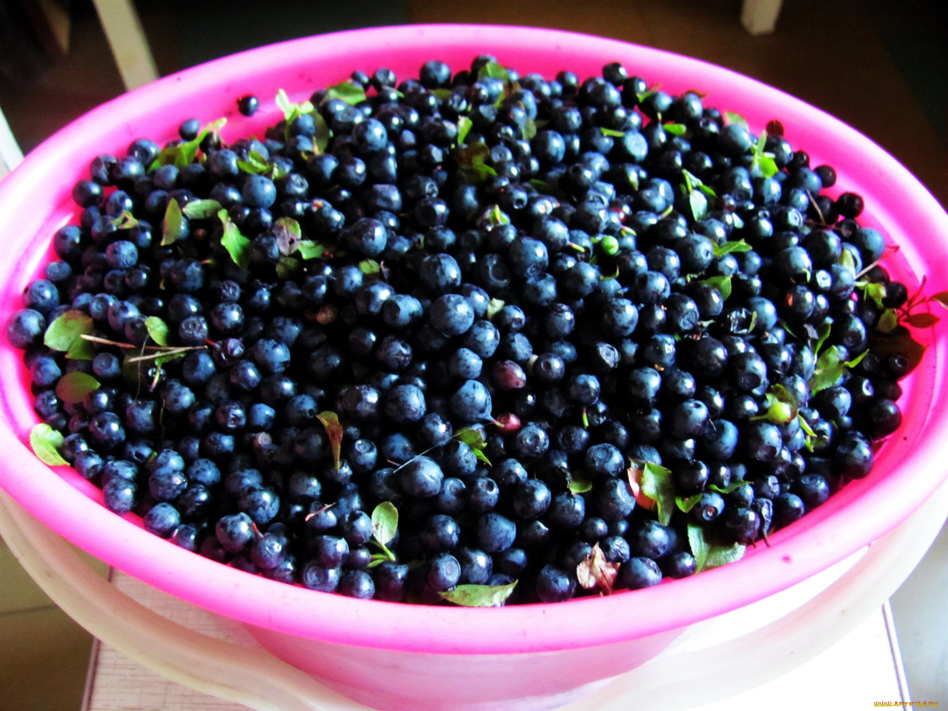 еда, голубика, , черника, черника