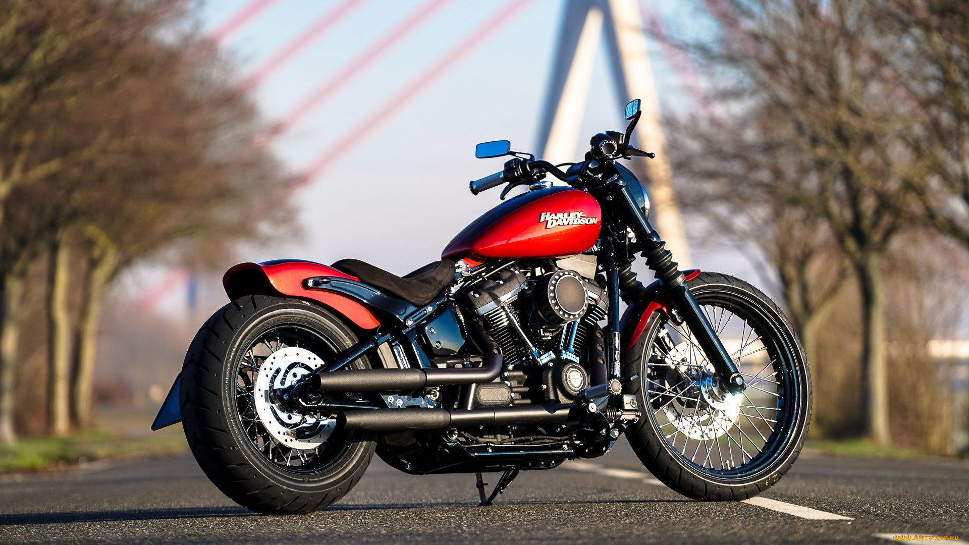 харлей, мотоциклы, harley-davidson, мотоцикл, байк, красный, thunderbike, customs