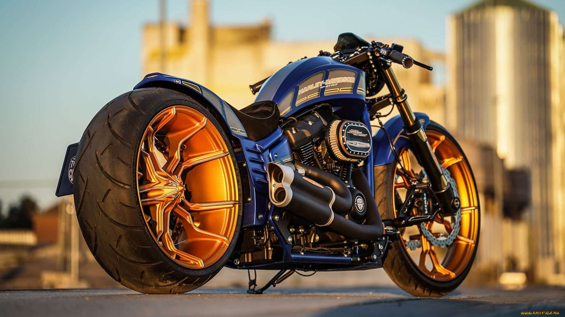 харлей, мотоциклы, harley-davidson, мотоцикл, байк, thunderbike, customs