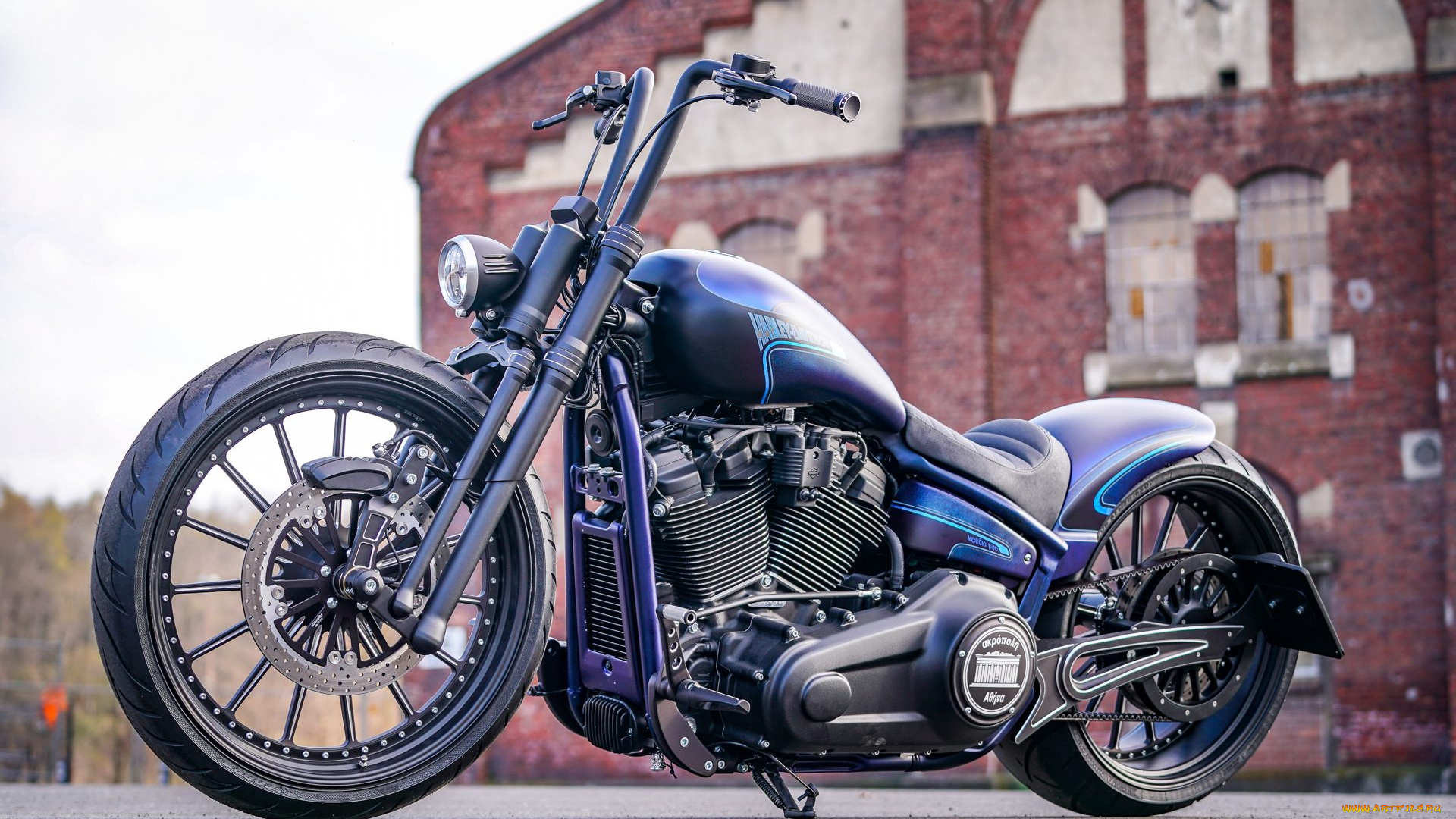 harley, мотоциклы, harley-davidson, thunderbike, customs, мотоцикл, байк