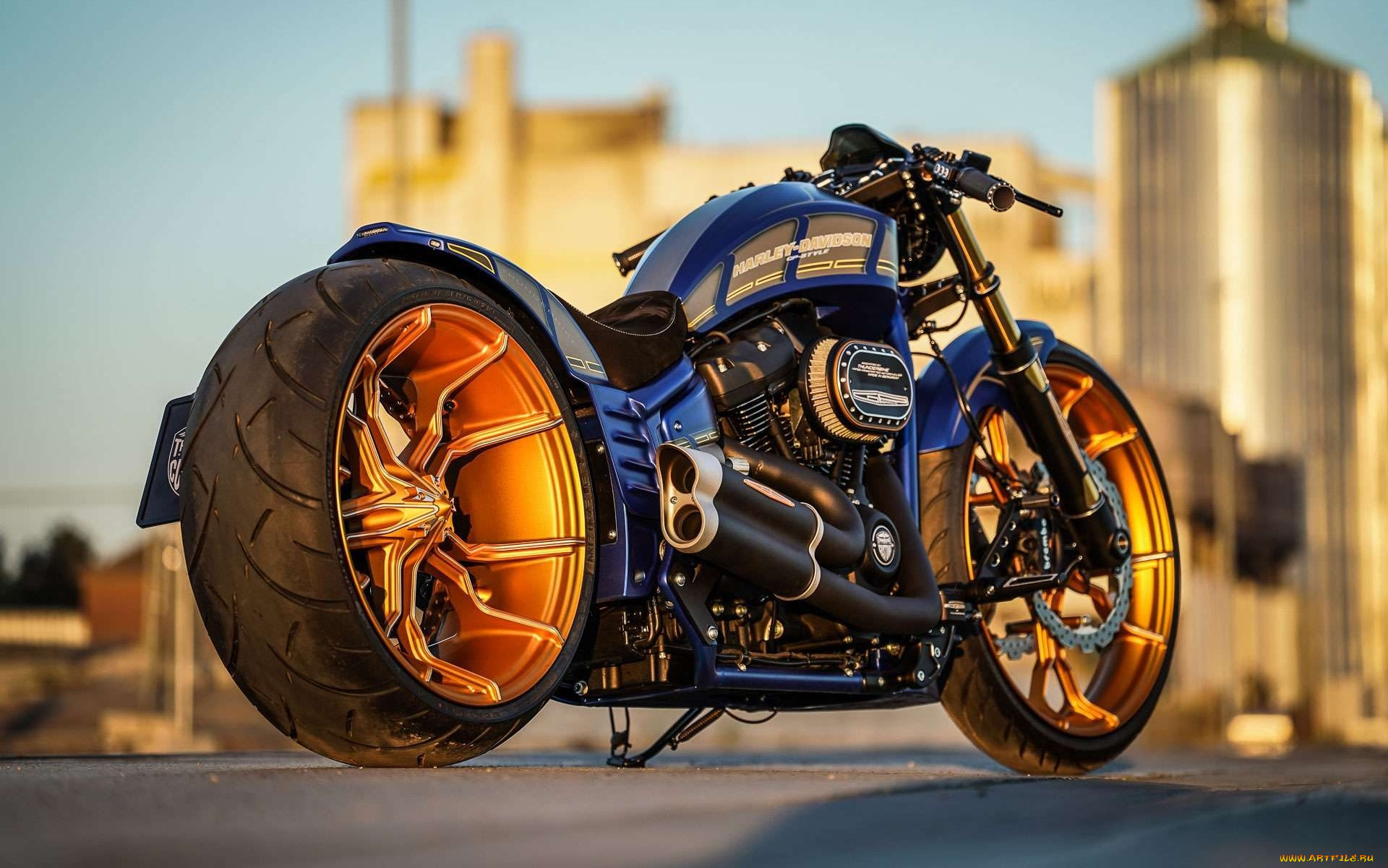 харлей, мотоциклы, harley-davidson, мотоцикл, байк, thunderbike, customs