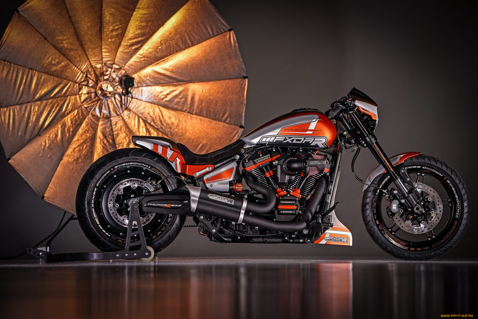 харлей, мотоциклы, harley-davidson, мотоцикл, байк, thunderbike, customs