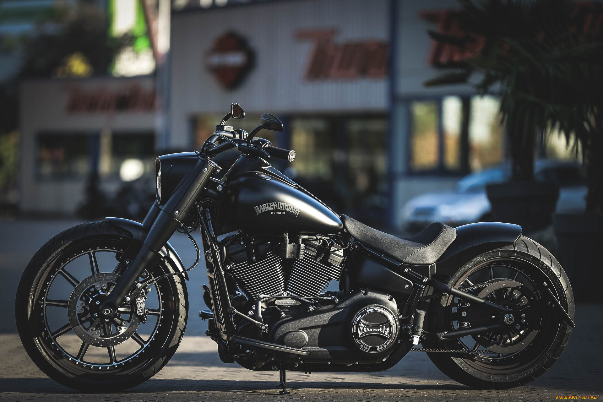 harley, мотоциклы, harley-davidson, мотоцикл, байк, чёрный