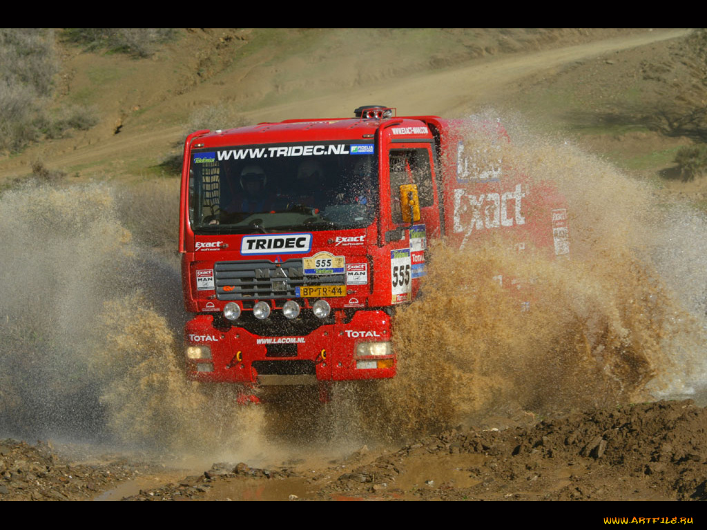 спорт, авторалли