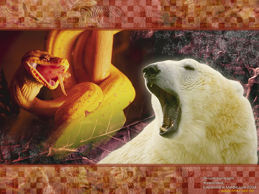 животные, разные, вместе